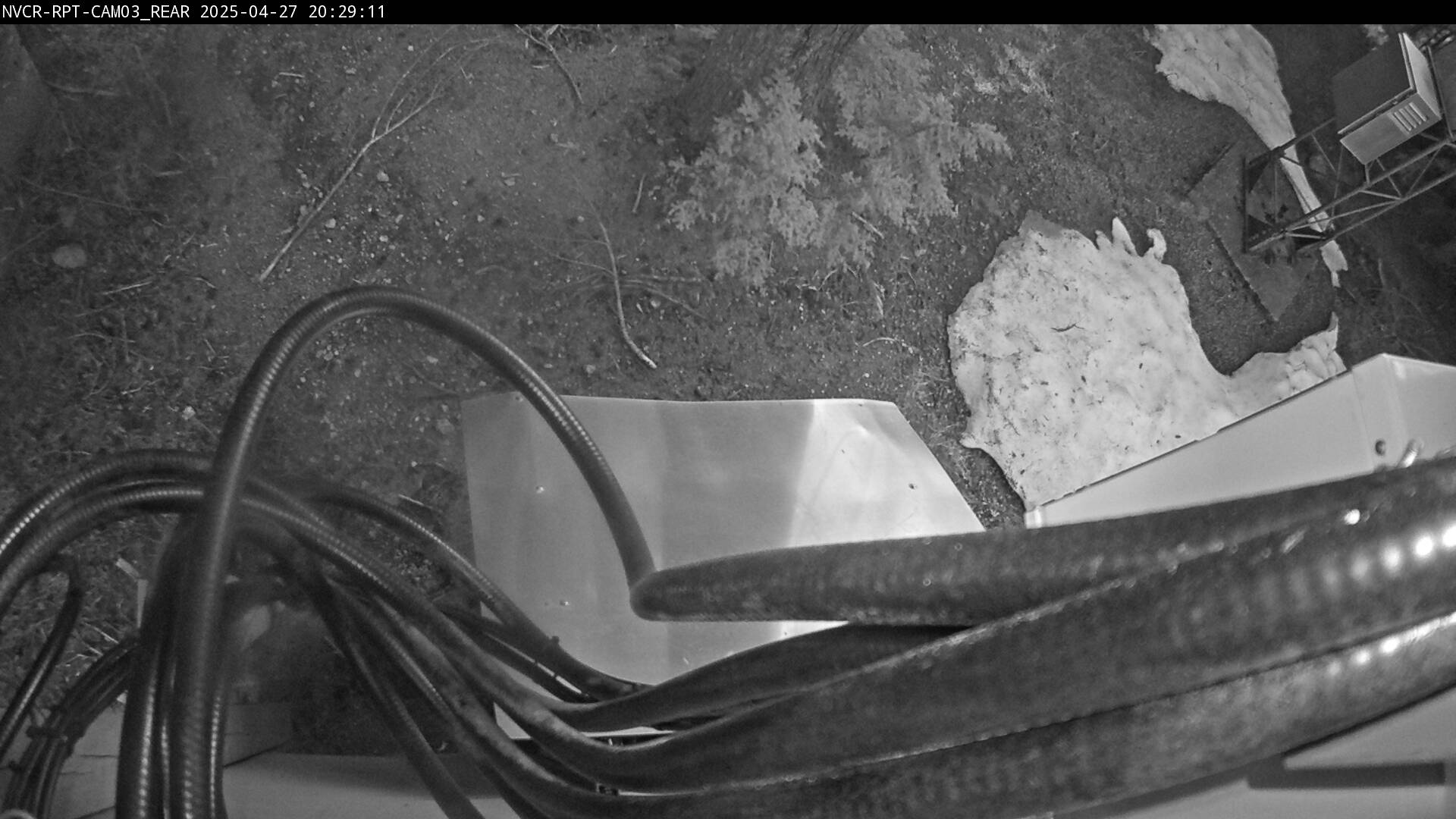 Web Cam History Image - 830