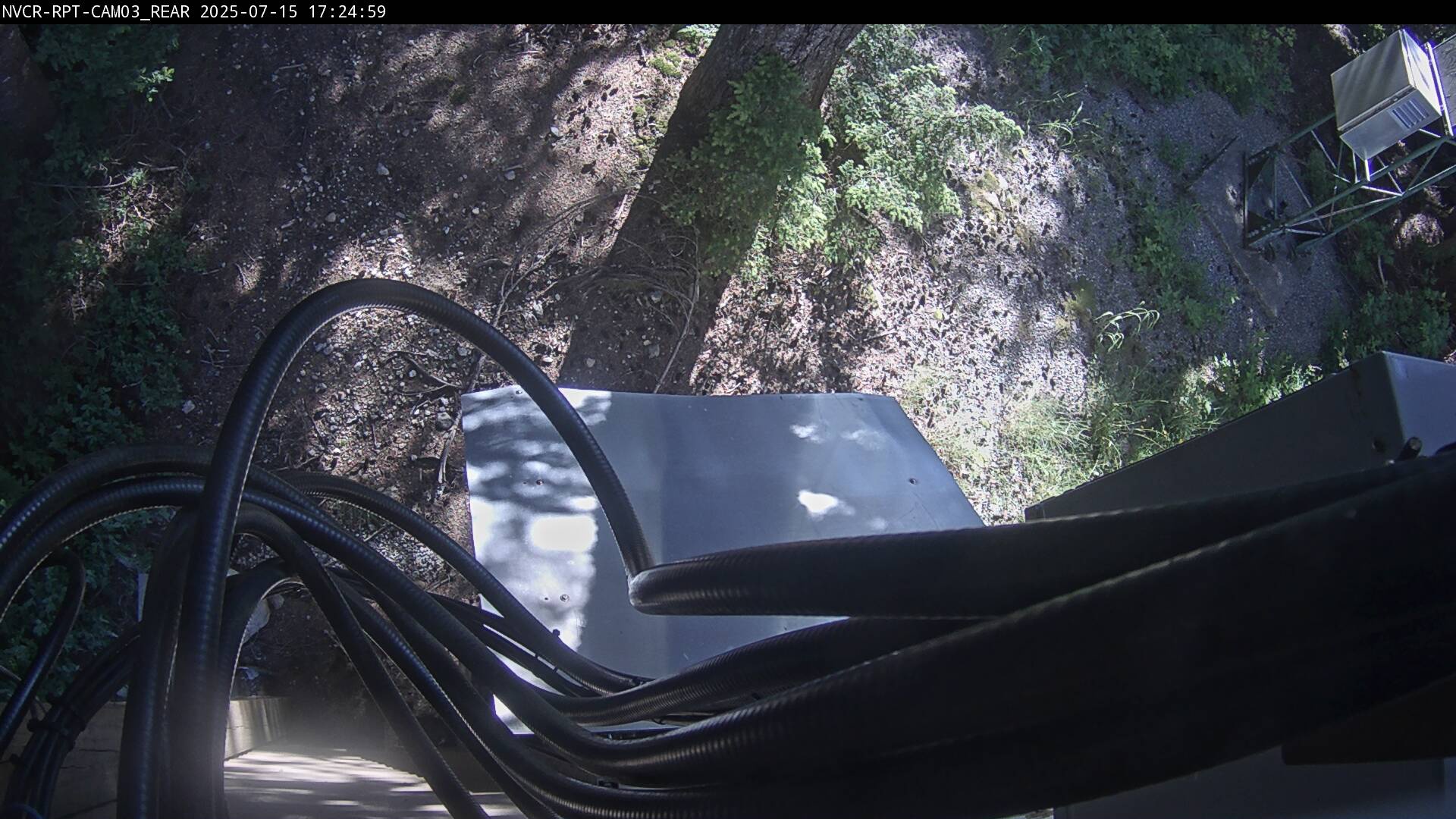 Web Cam History Image - 84