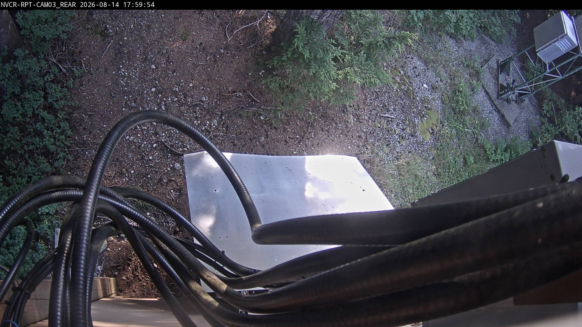 Web Cam History Image - 831