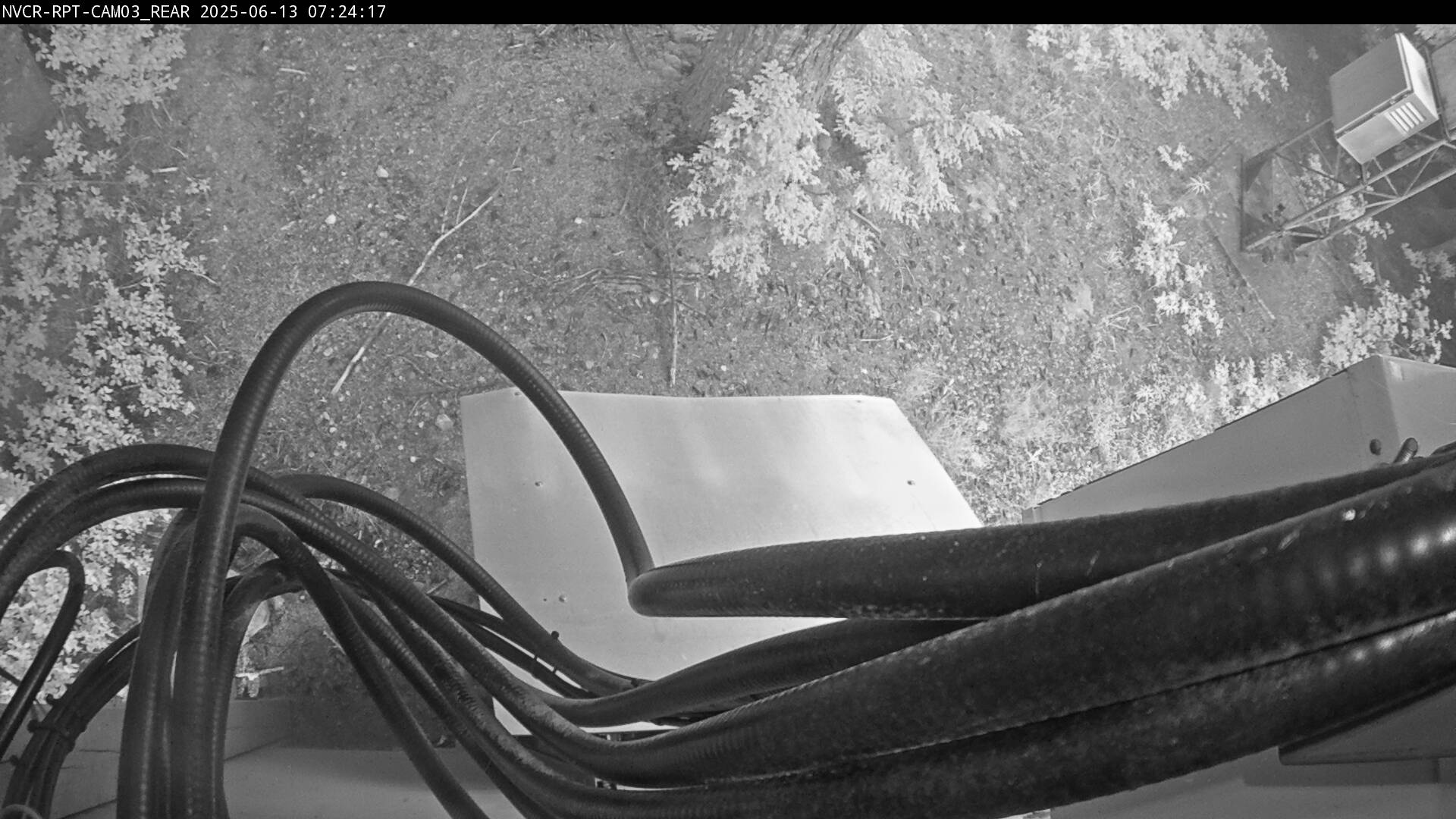 Web Cam History Image - 833