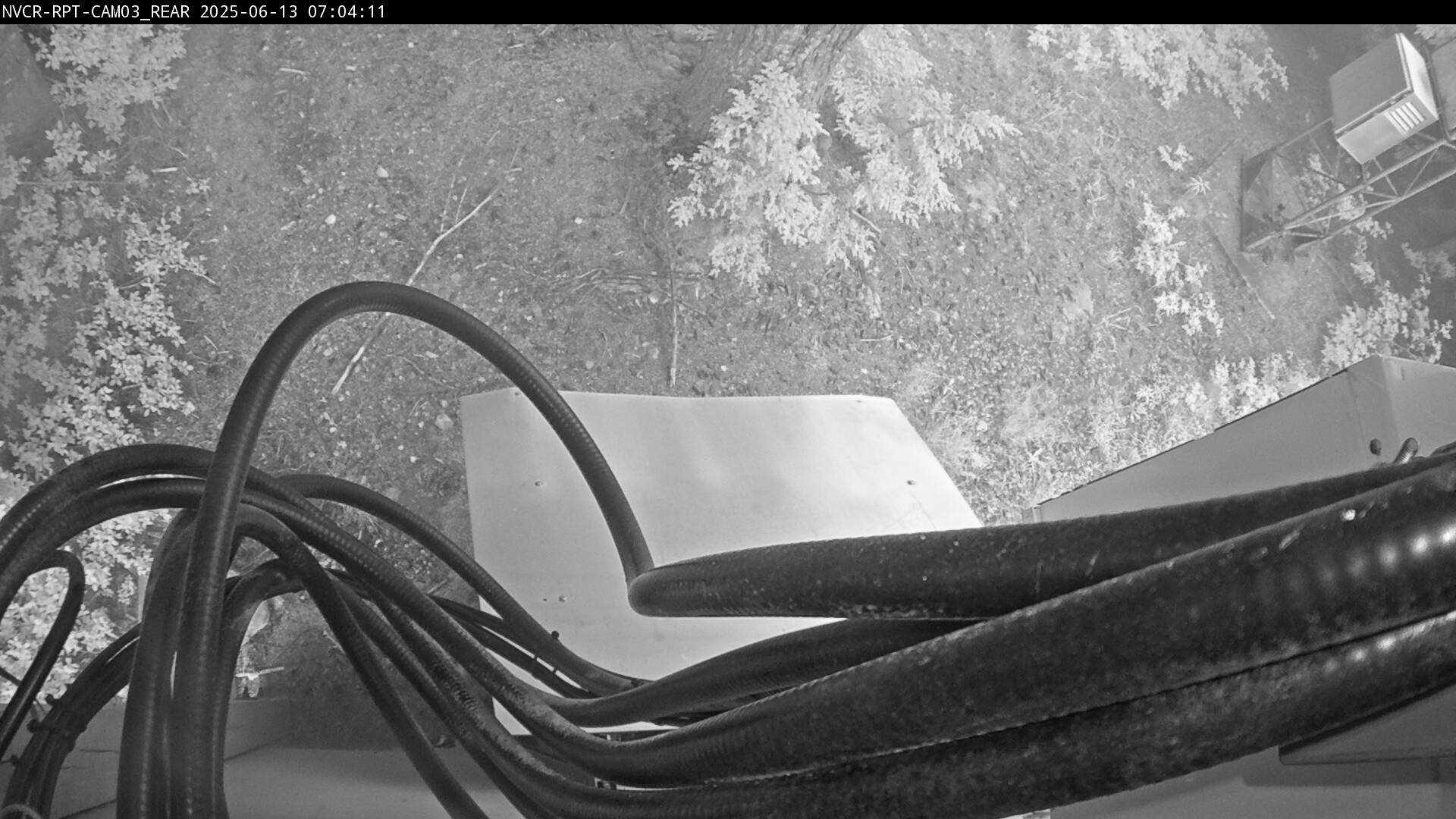 Web Cam History Image - 838