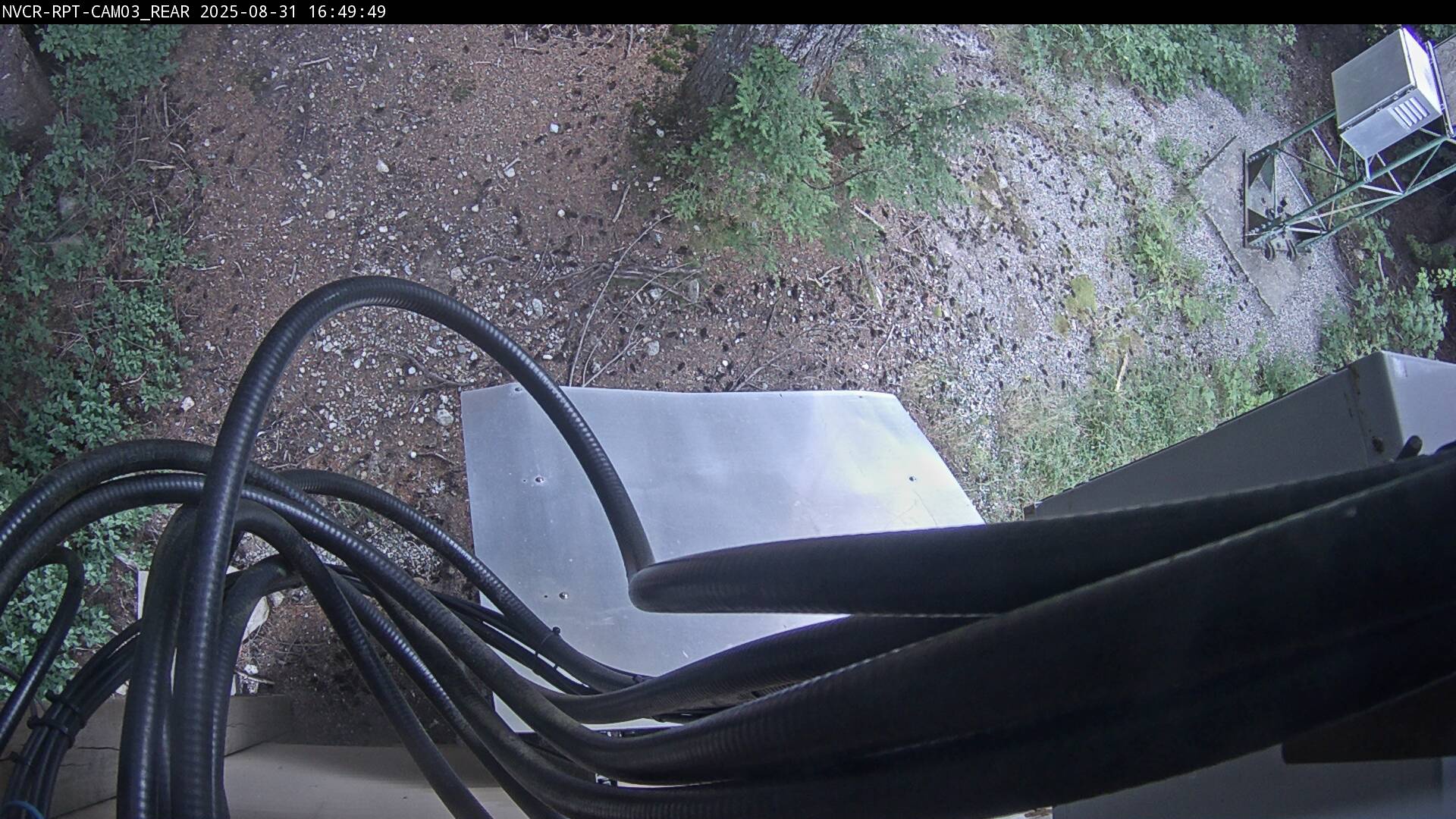 Web Cam History Image - 838