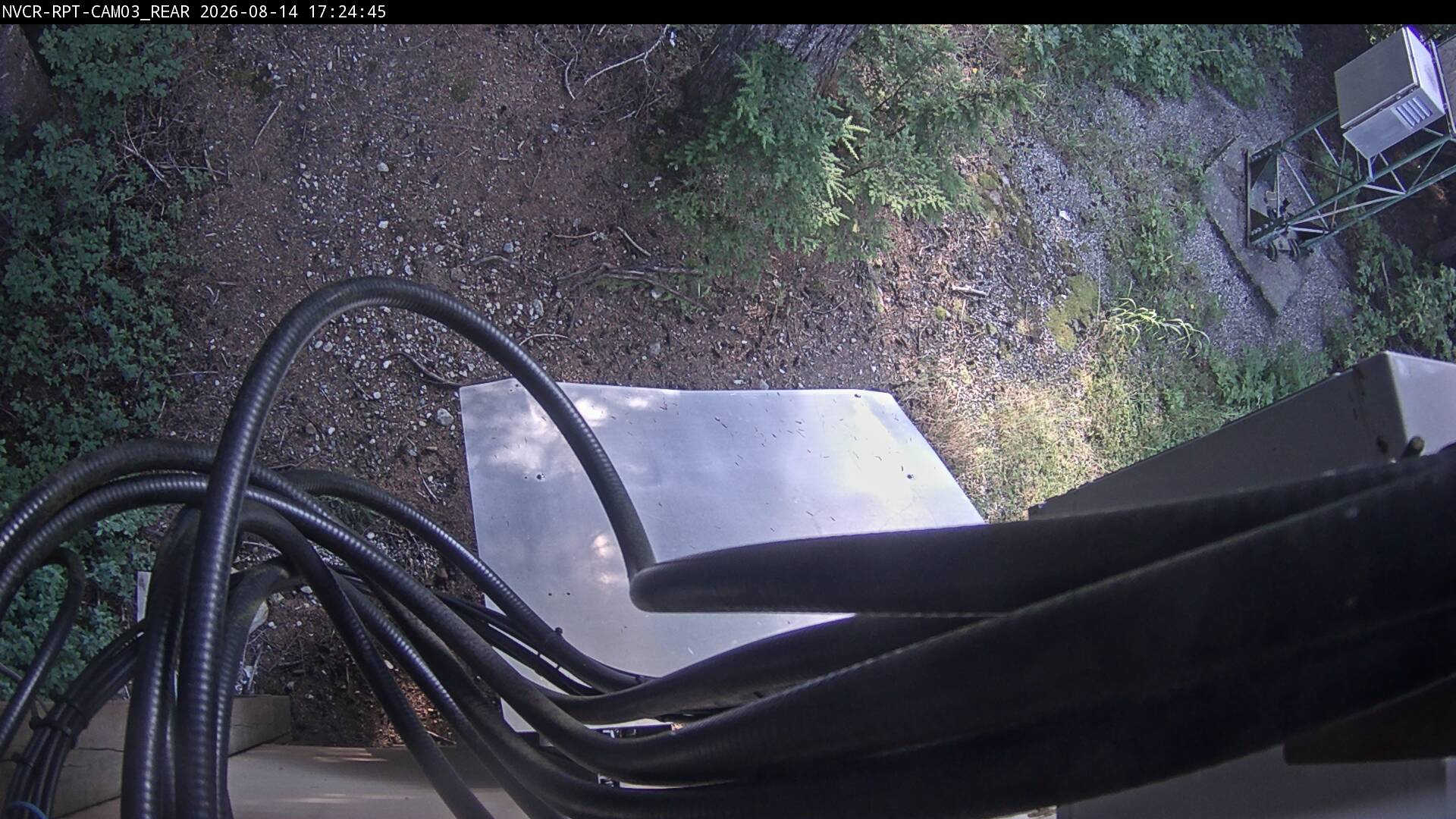 Web Cam History Image - 839