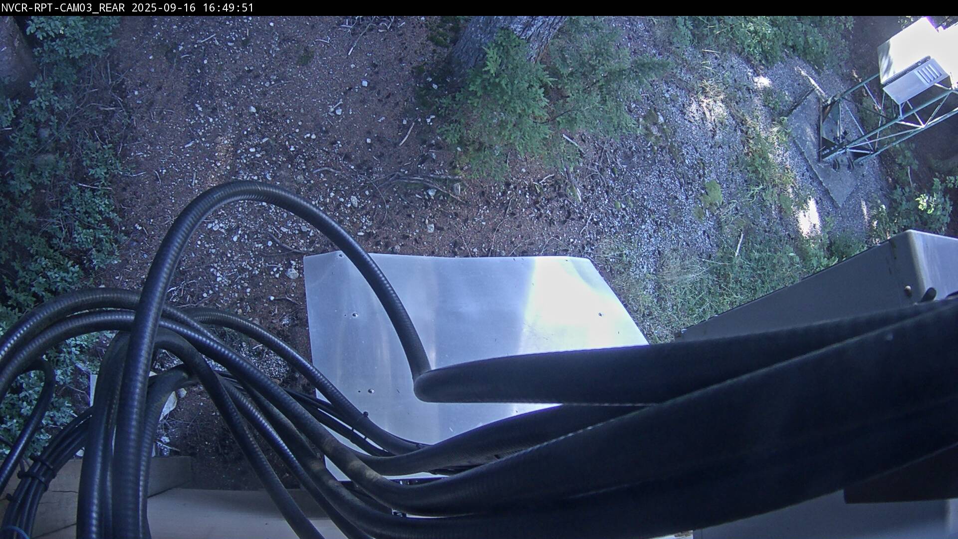 Web Cam History Image - 85