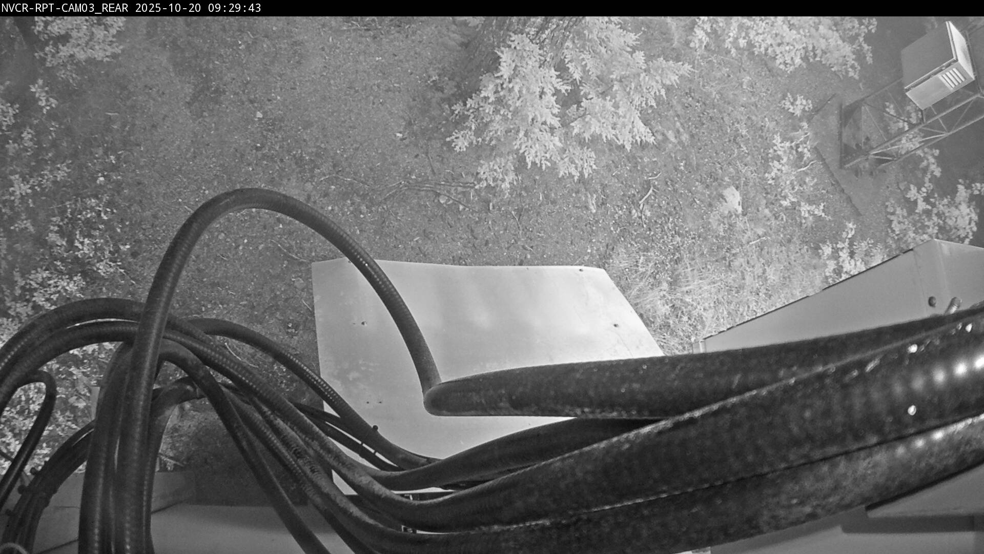 Web Cam History Image - 85