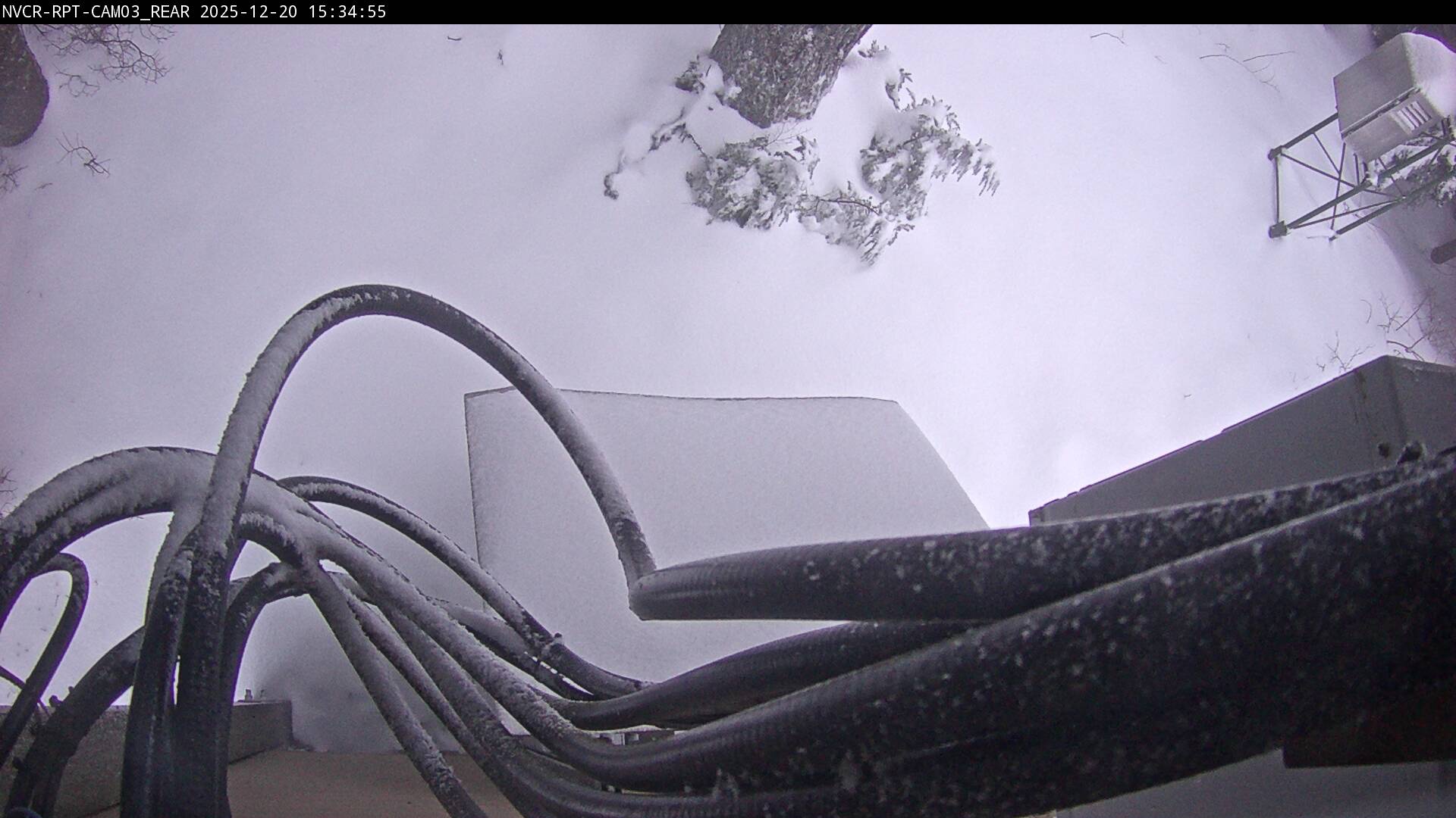 Web Cam History Image - 85