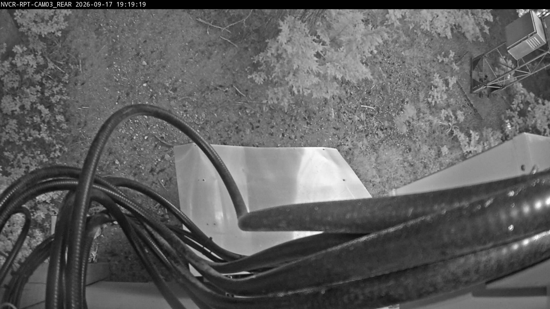 Web Cam History Image - 85