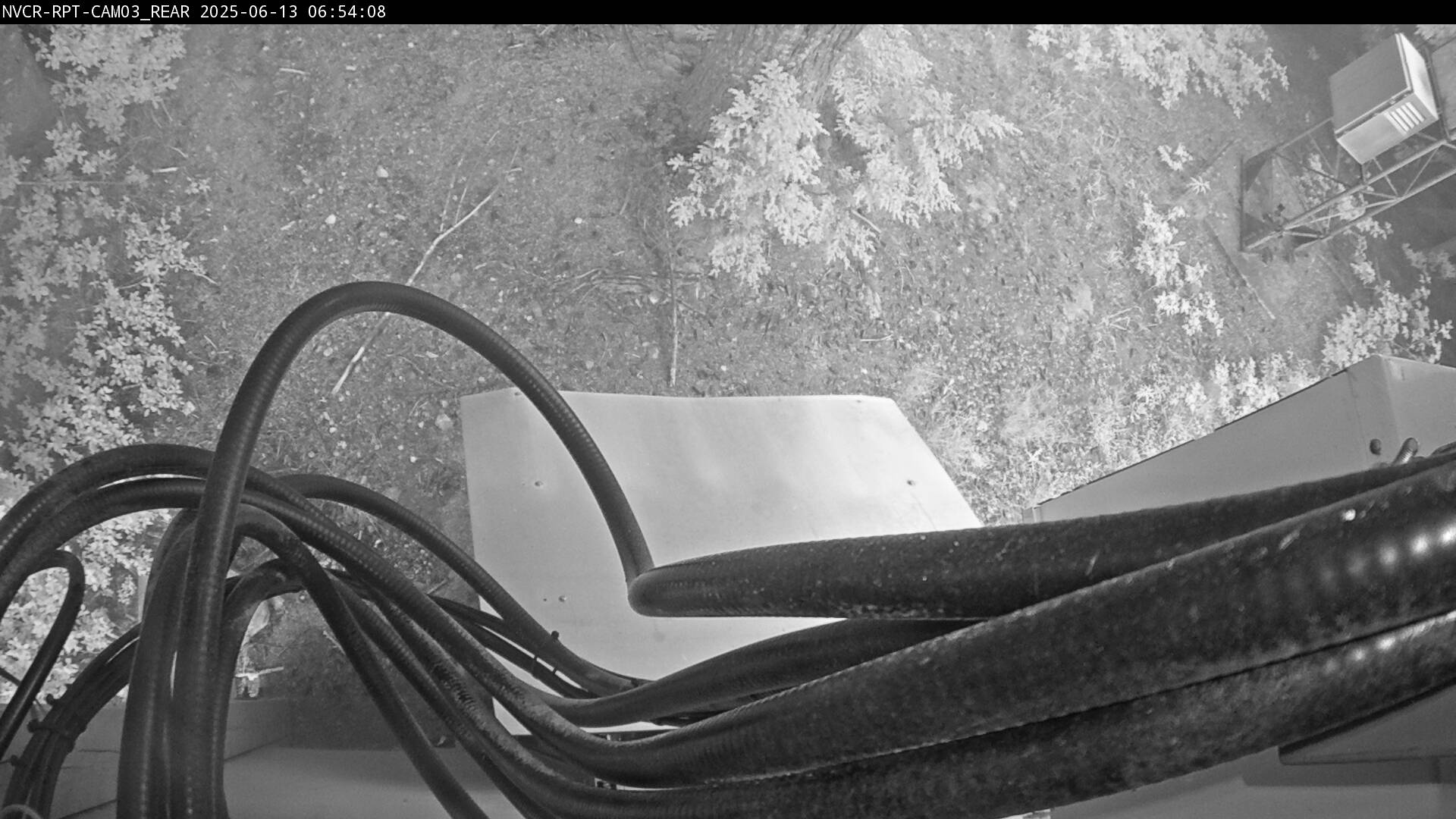 Web Cam History Image - 841