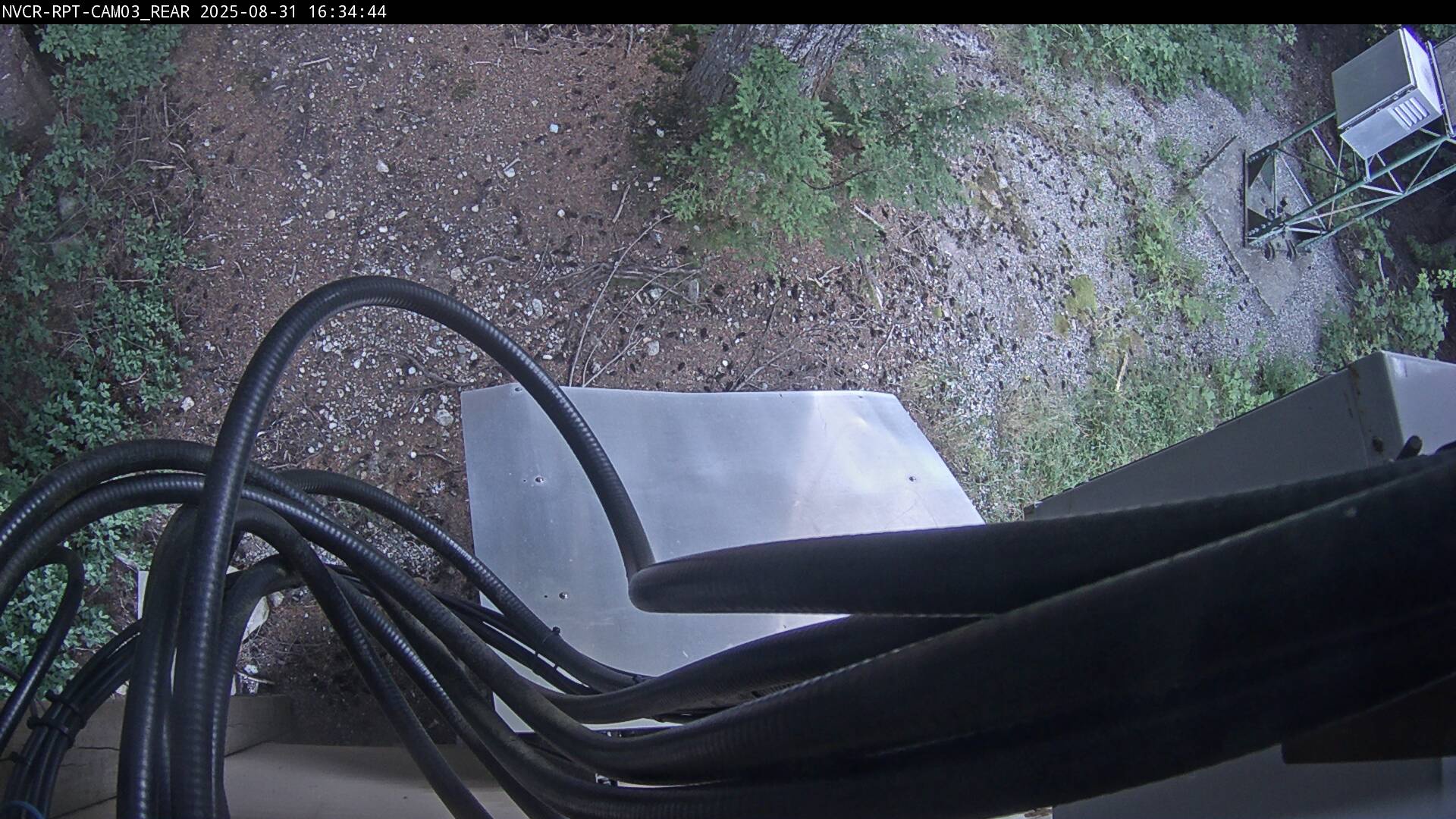 Web Cam History Image - 841