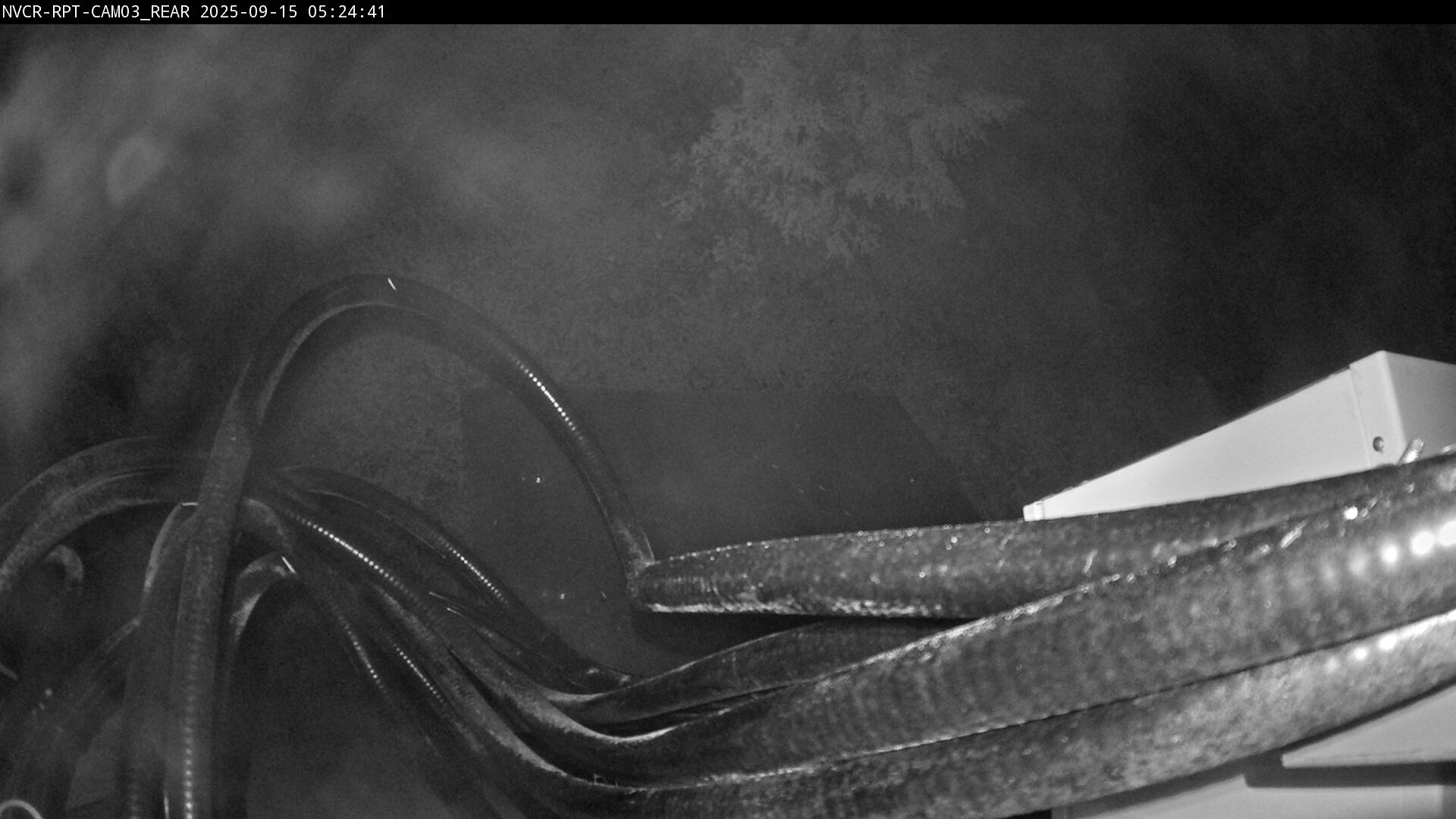 Web Cam History Image - 841