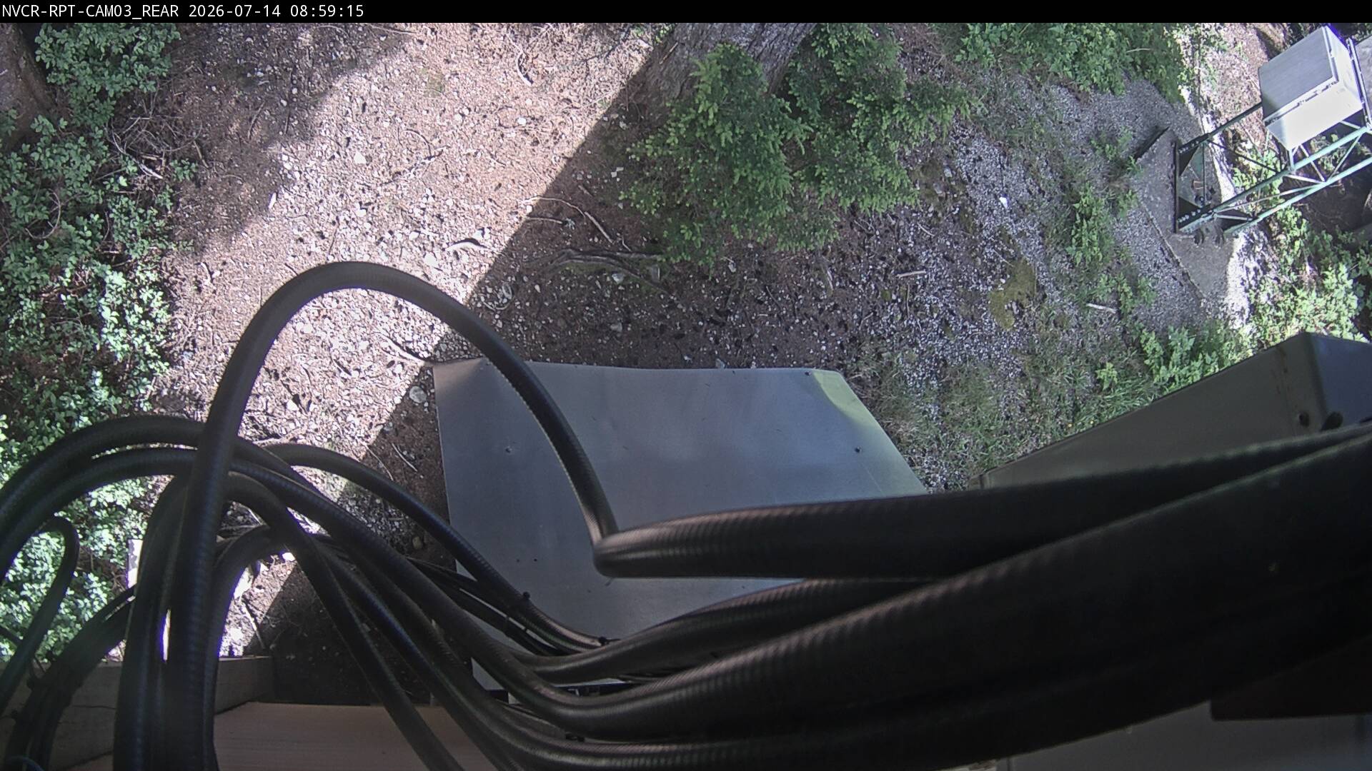 Web Cam History Image - 841