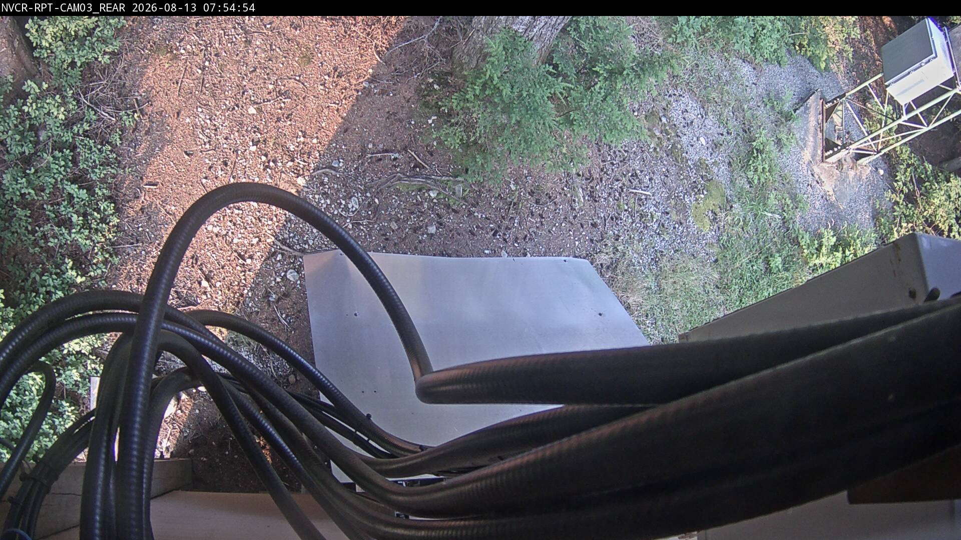 Web Cam History Image - 842