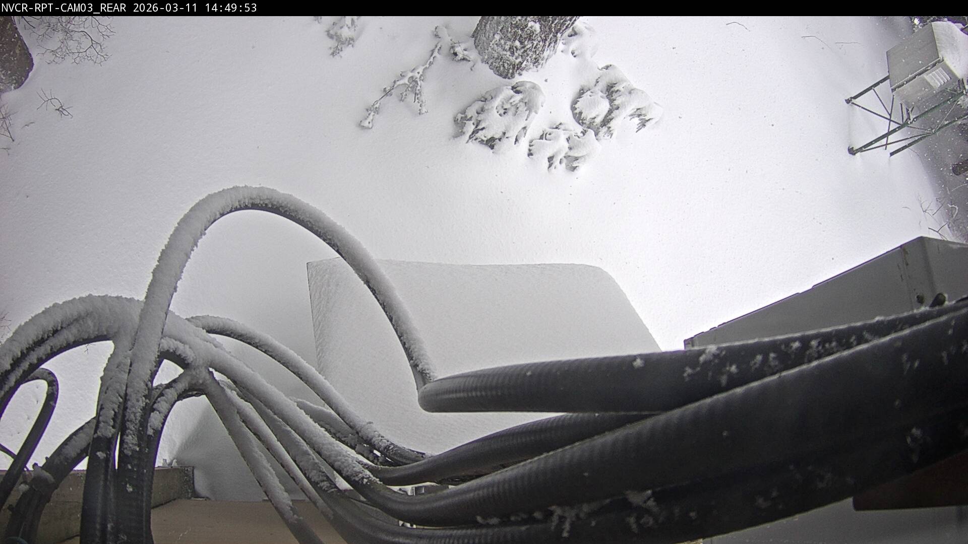 Web Cam History Image - 848