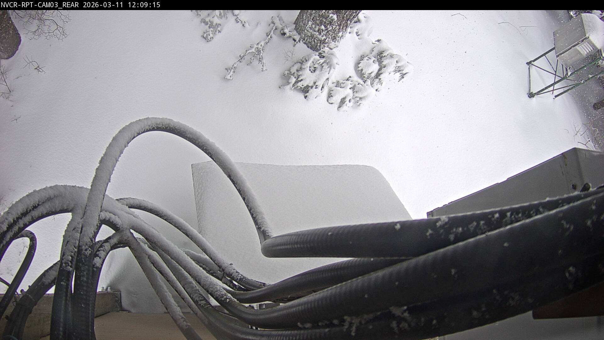 Web Cam History Image - 850