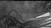 Web Cam Image - Wed, 10/21/2026 2:24pm UTC