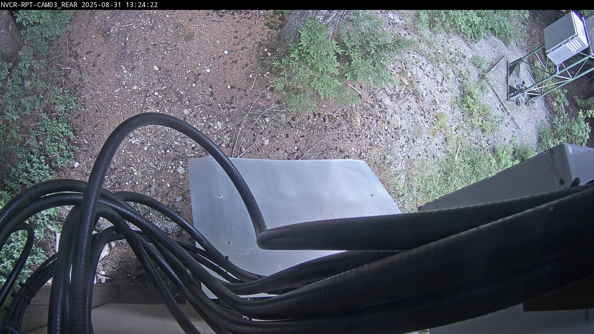Web Cam History Image - 86