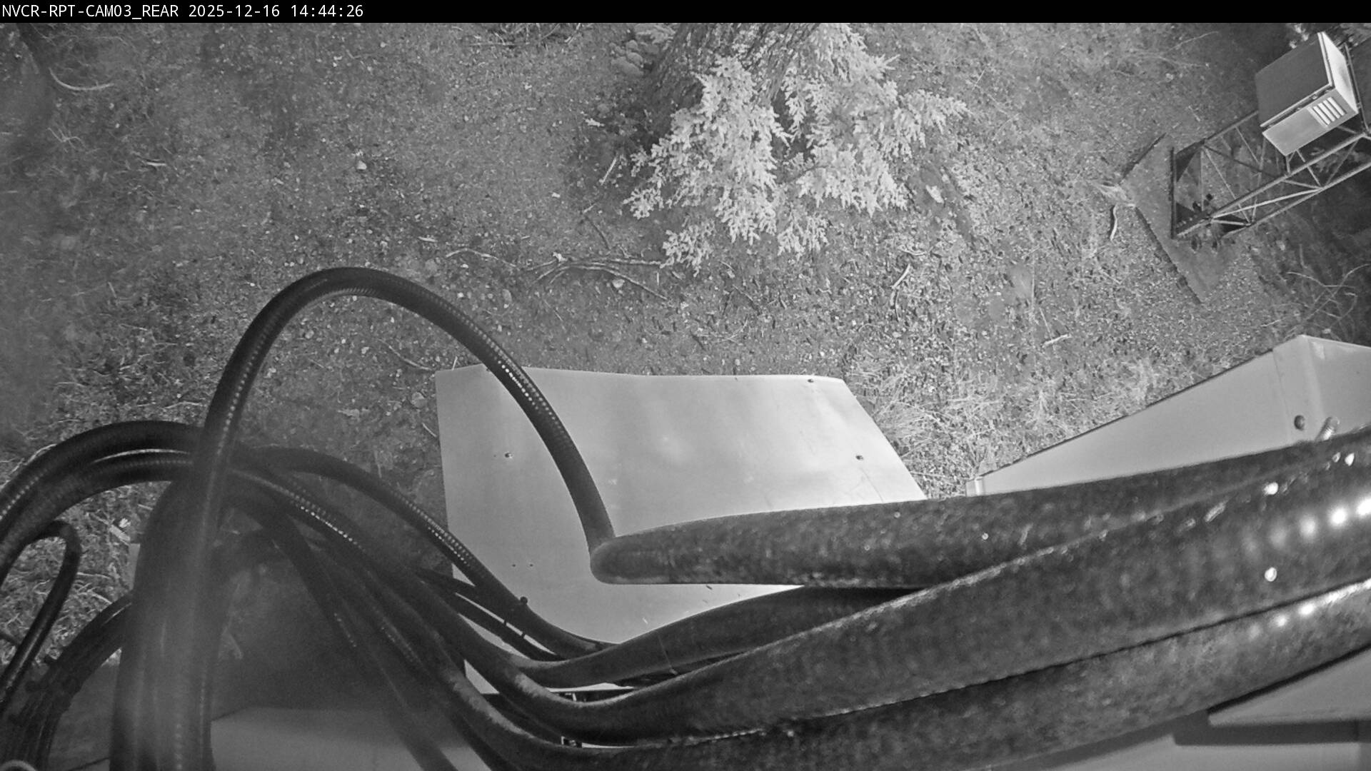 Web Cam History Image - 86