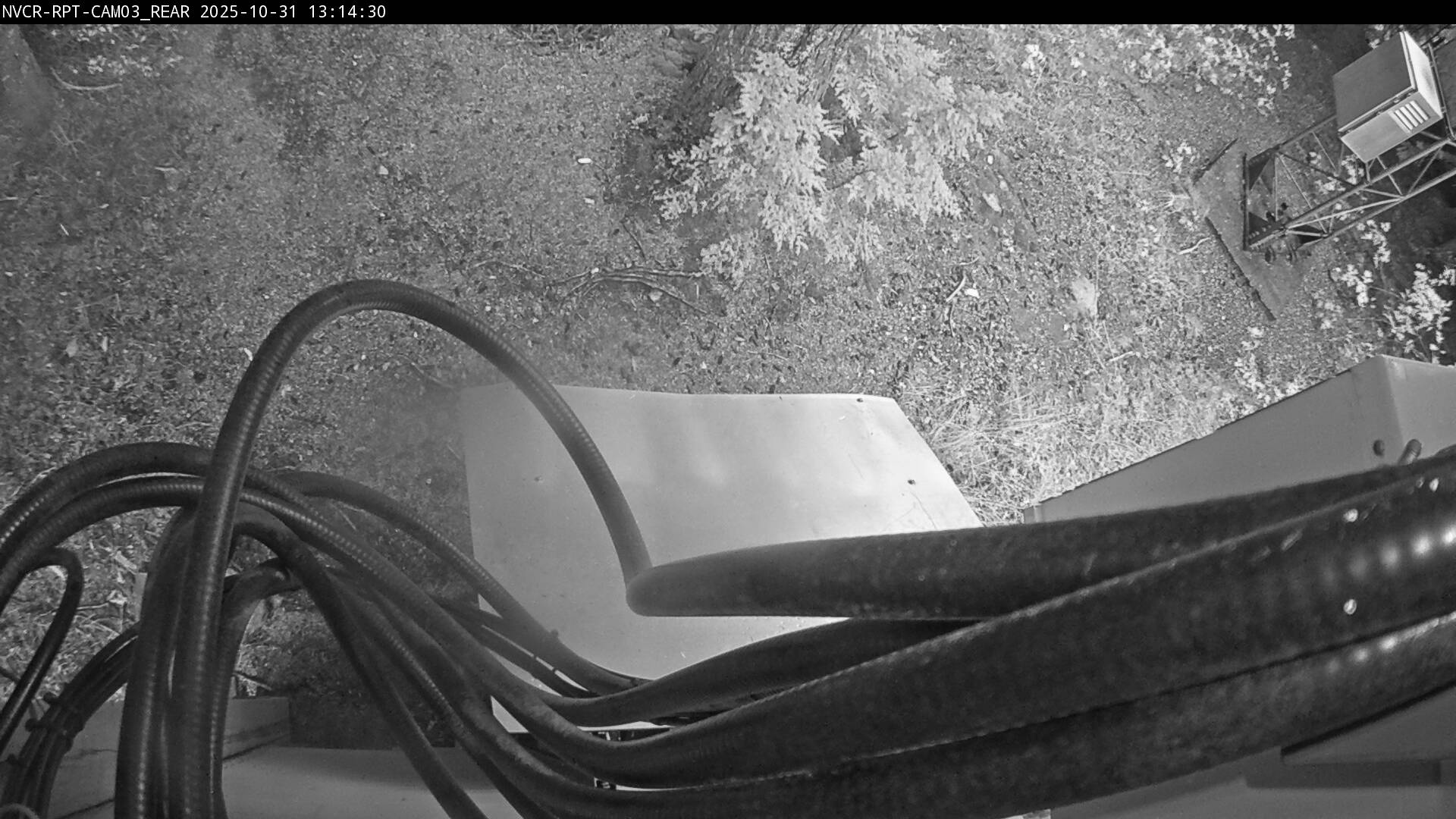 Web Cam History Image - 853