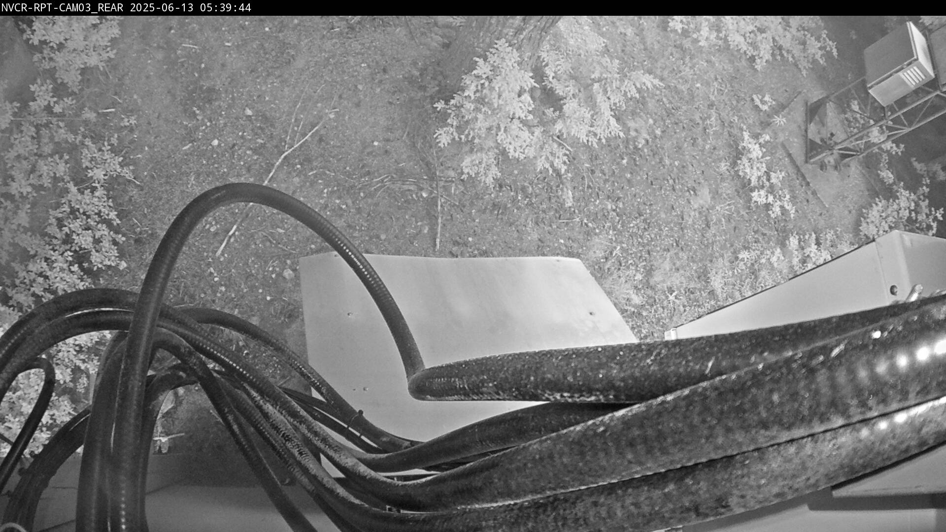 Web Cam History Image - 854