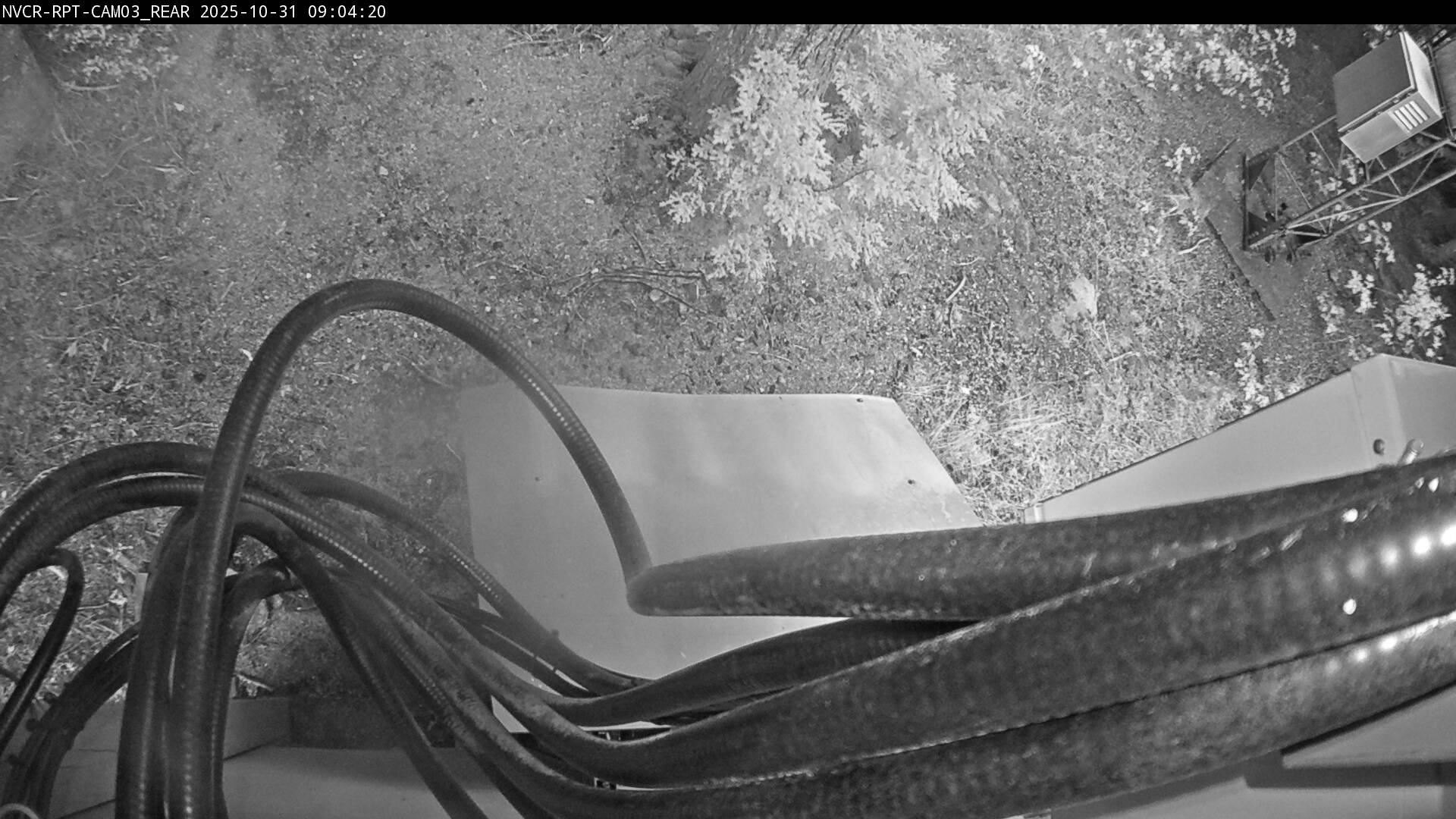 Web Cam History Image - 854