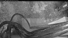 Web Cam Image - Thu, 04/30/2026 4:29am PDT