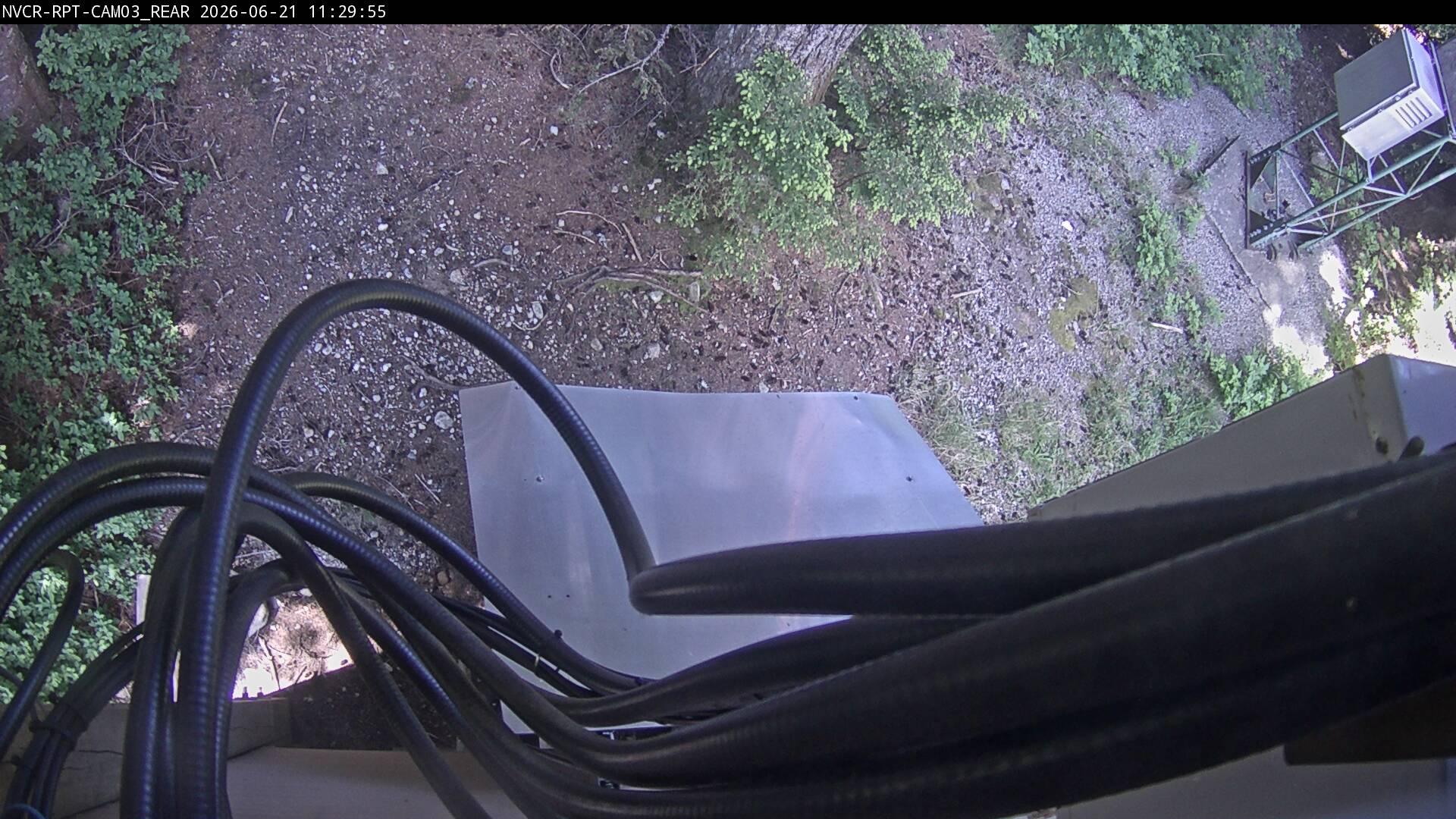 Web Cam History Image - 856