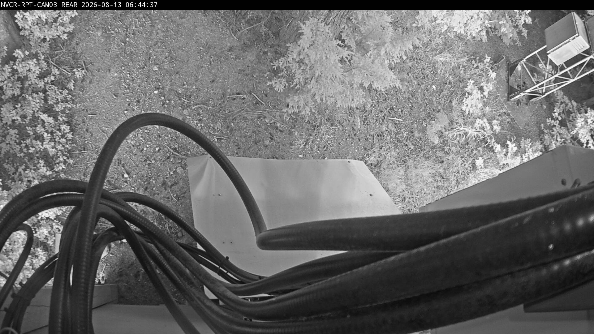 Web Cam History Image - 856