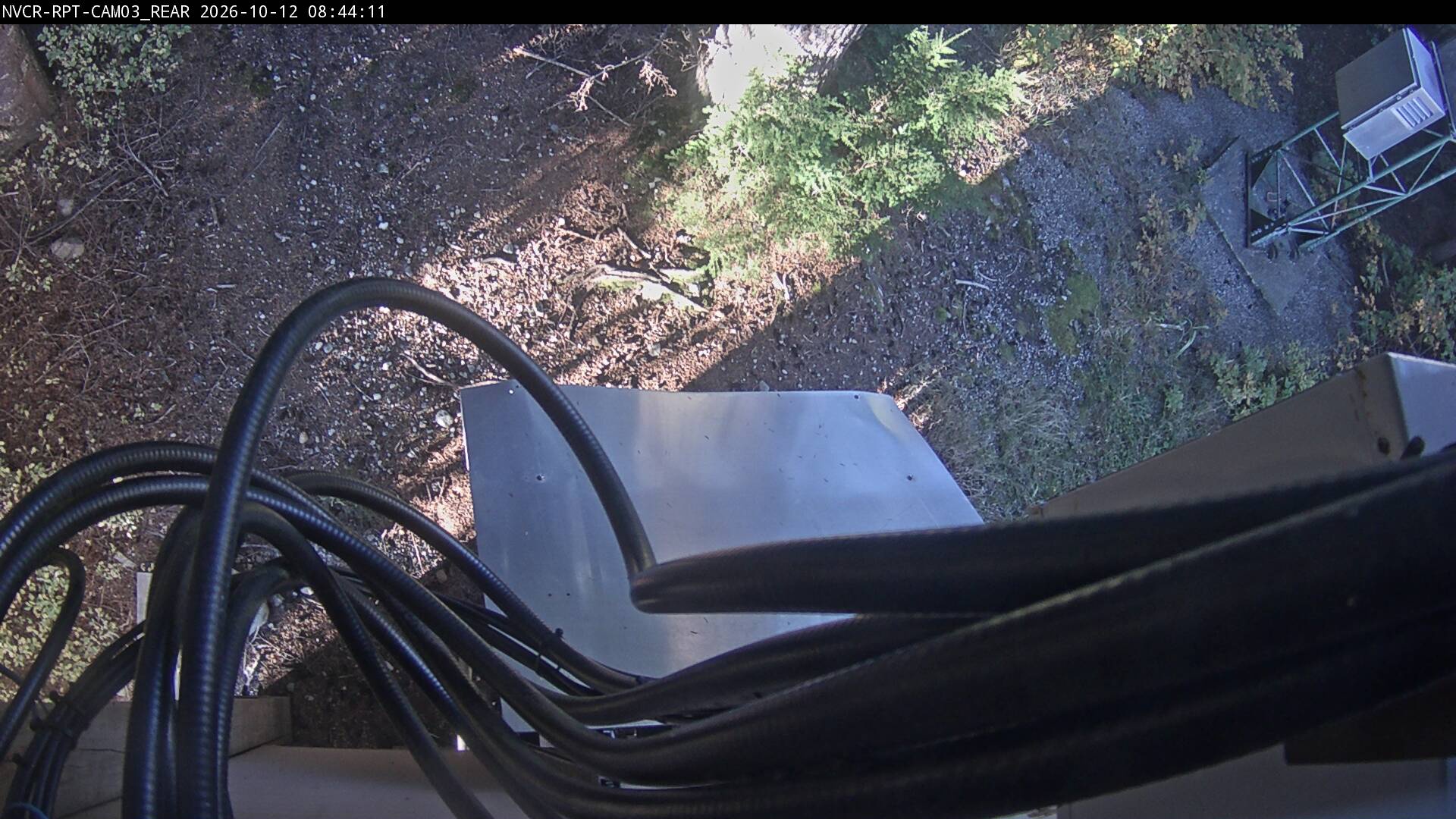 Web Cam History Image - 856