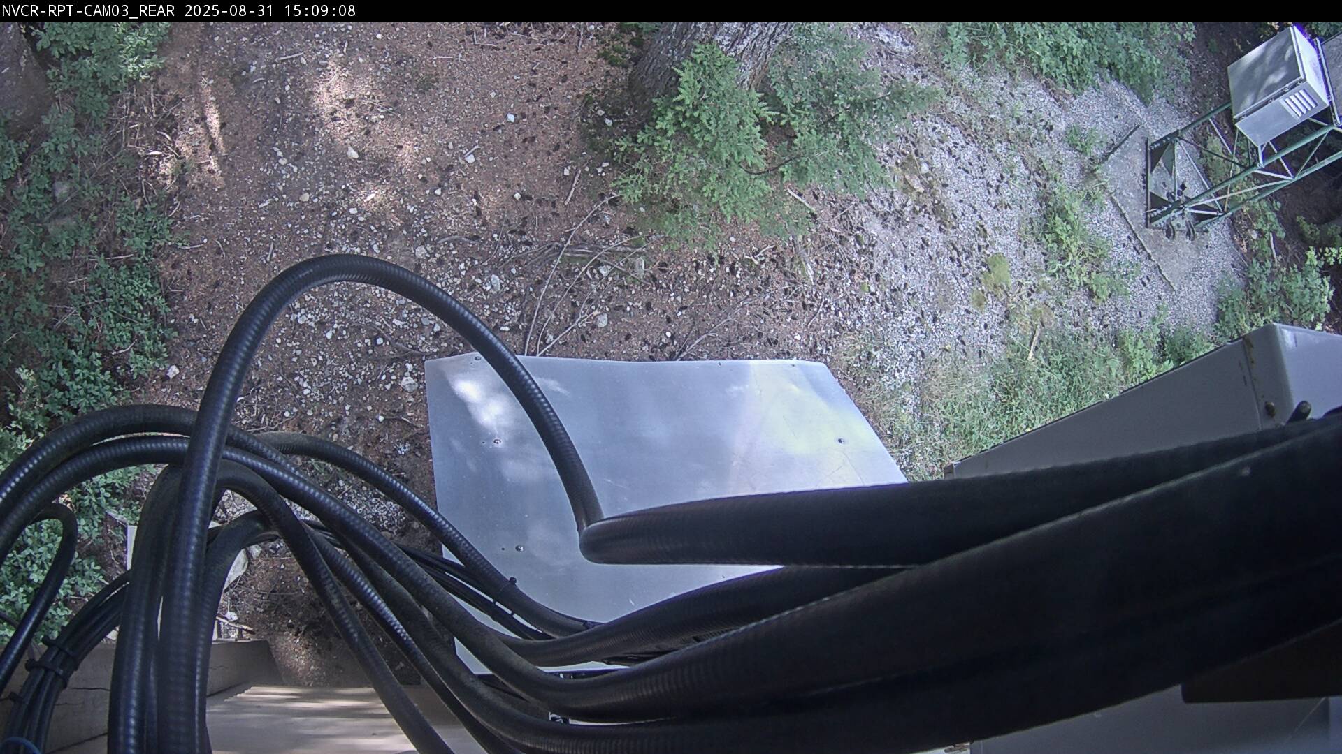 Web Cam History Image - 858