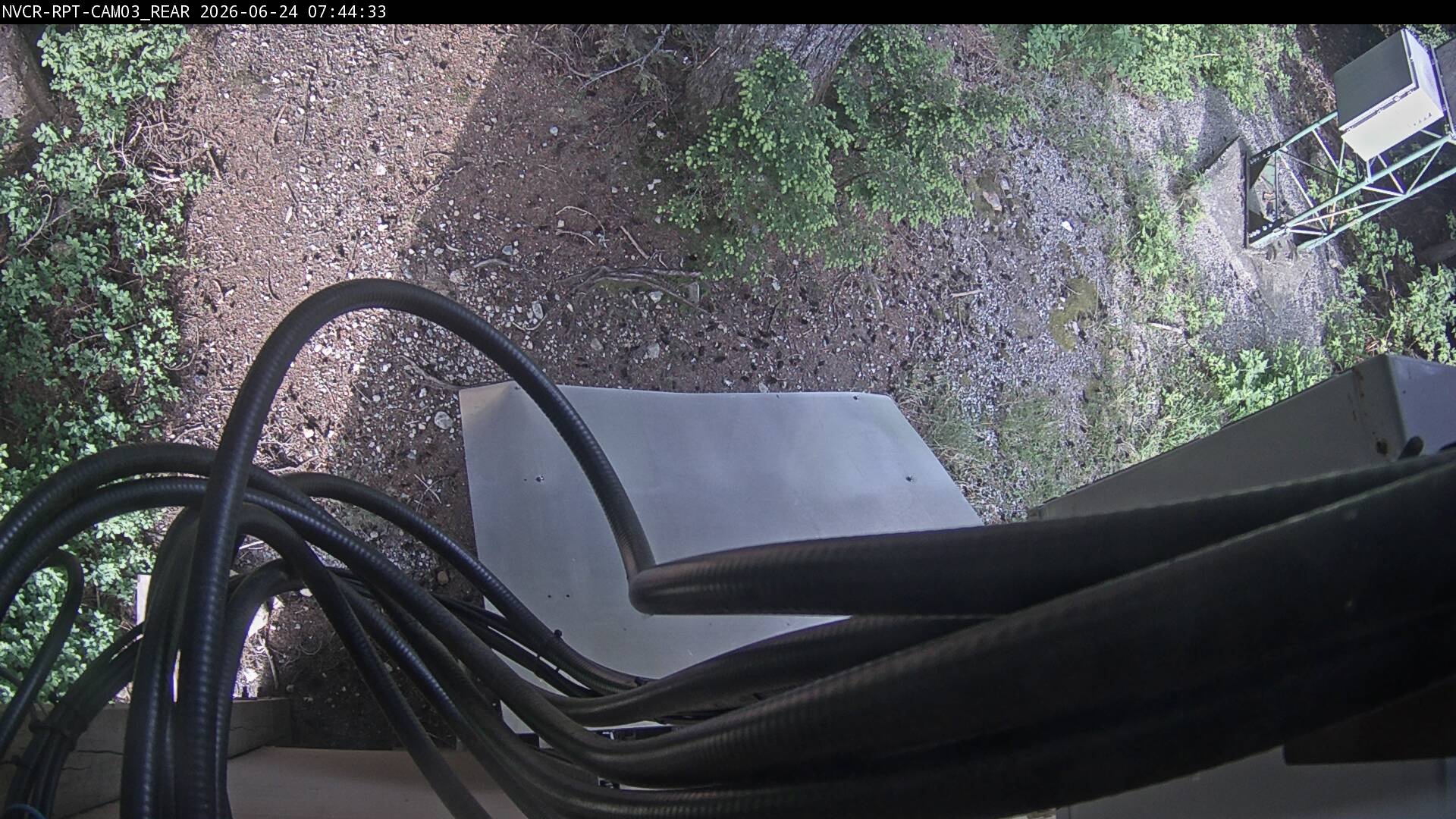 Web Cam History Image - 858