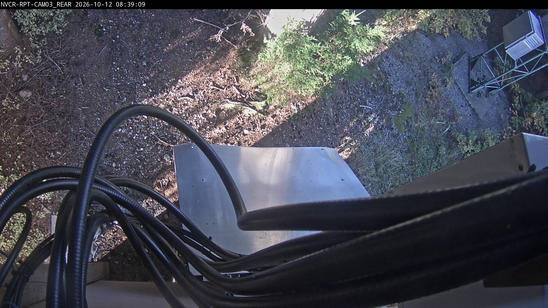 Web Cam History Image - 858