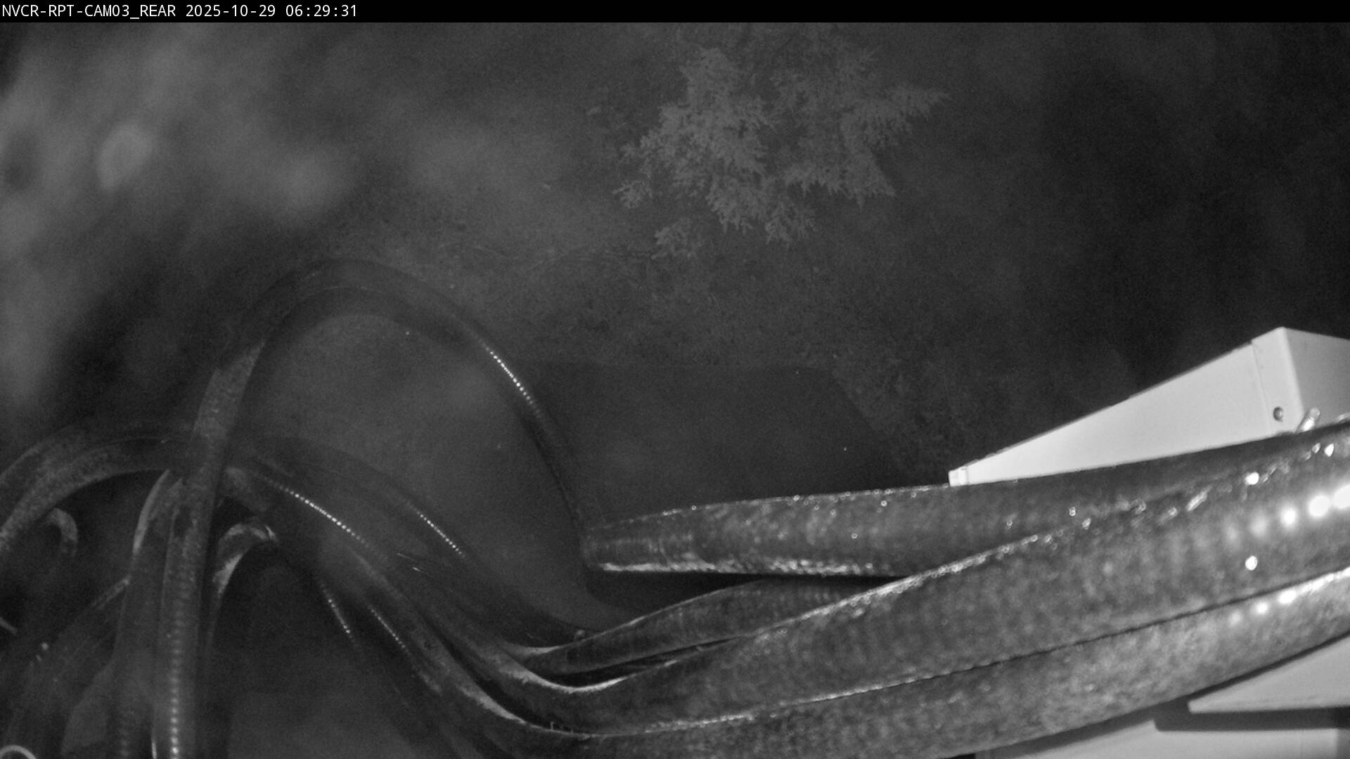 Web Cam History Image - 859