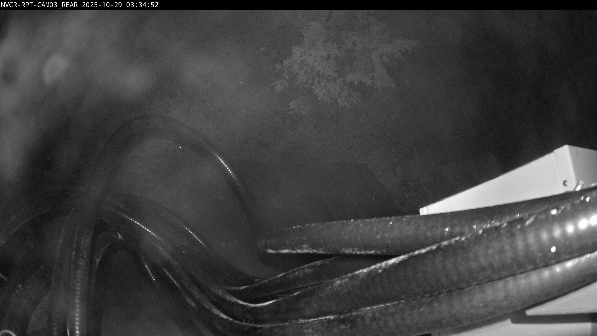 Web Cam History Image - 860