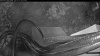Web Cam Image - Fri, 05/15/2026 4:19am PDT
