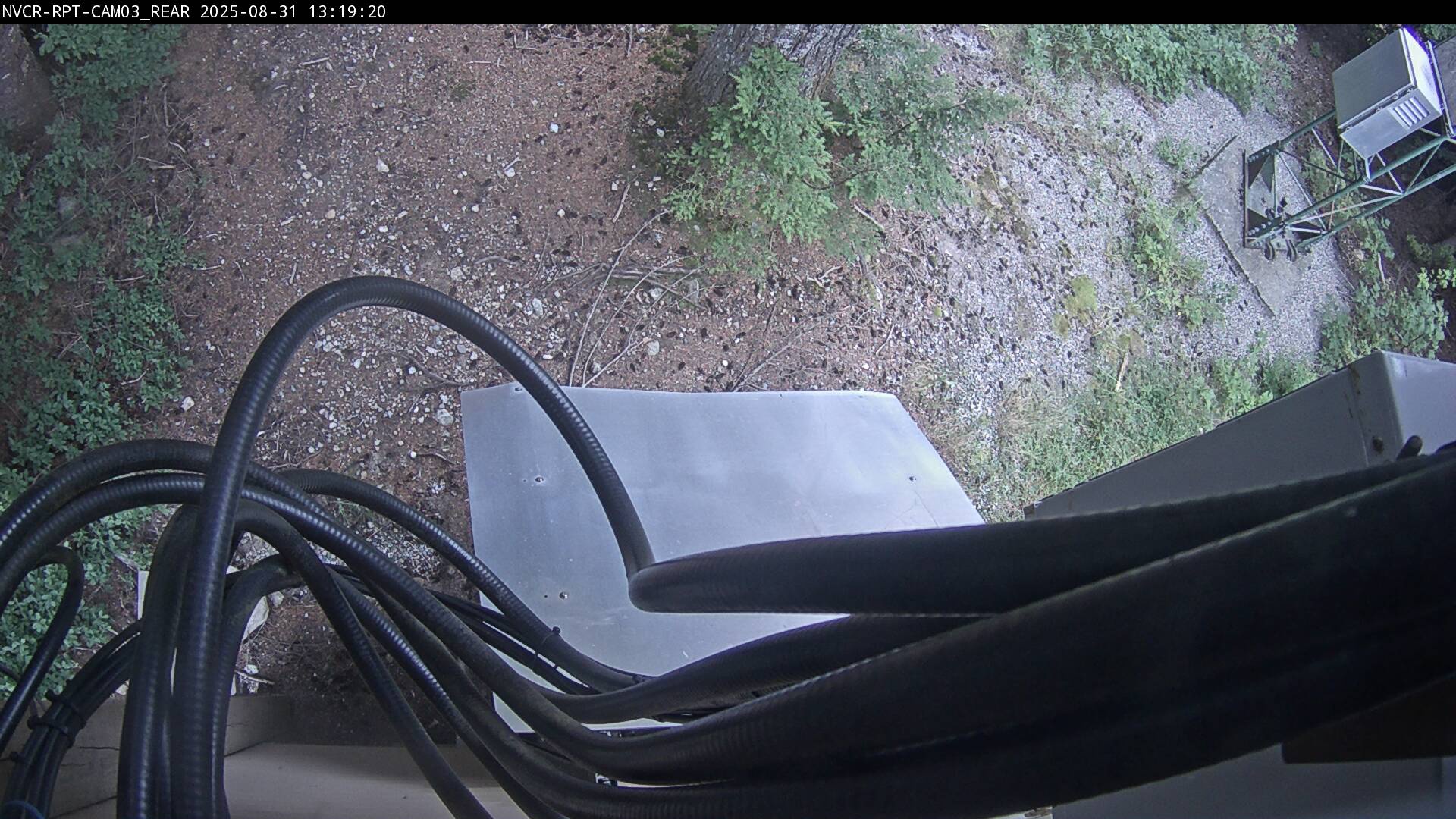 Web Cam History Image - 87