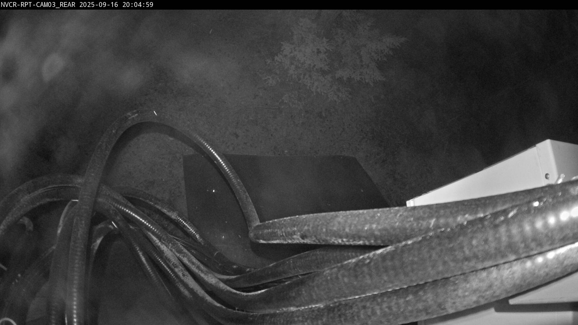 Web Cam History Image - 87