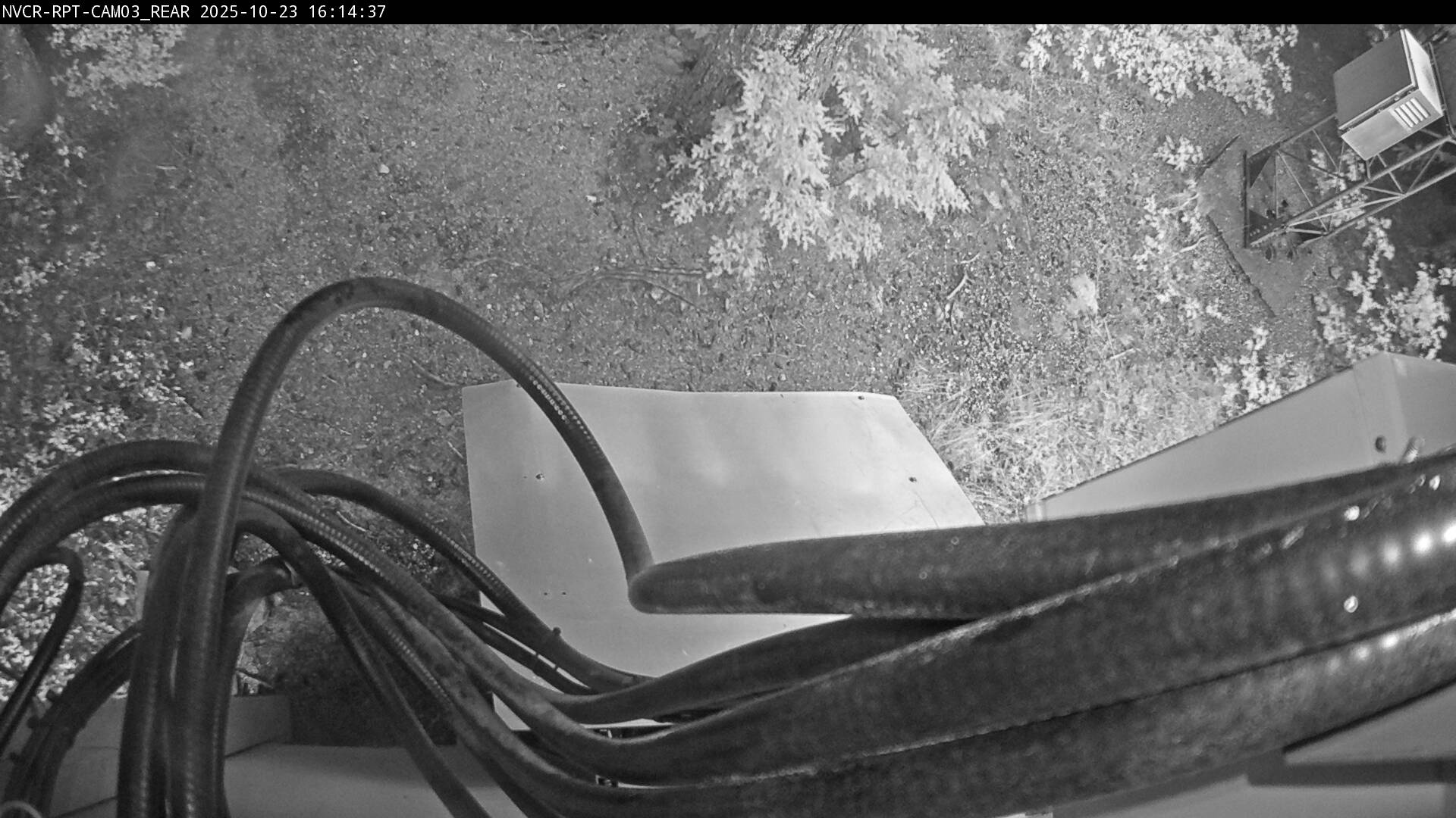 Web Cam History Image - 87