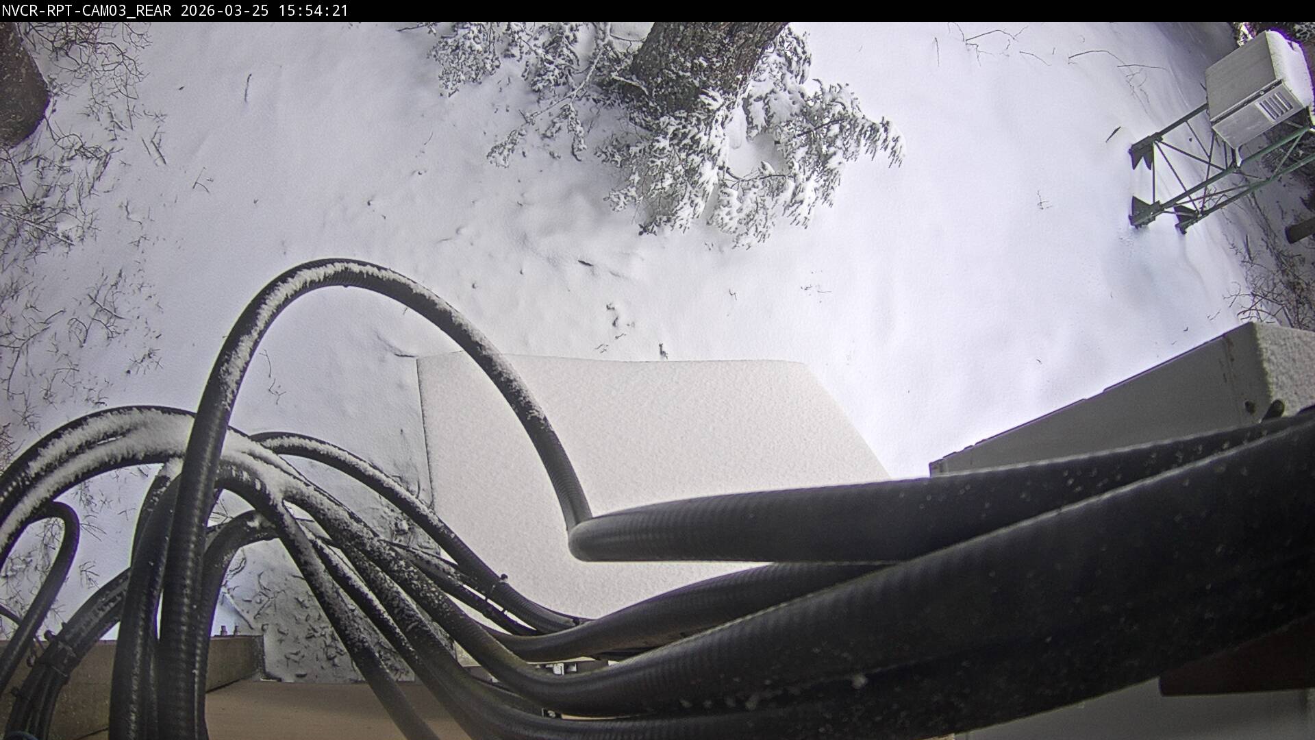 Web Cam History Image - 861