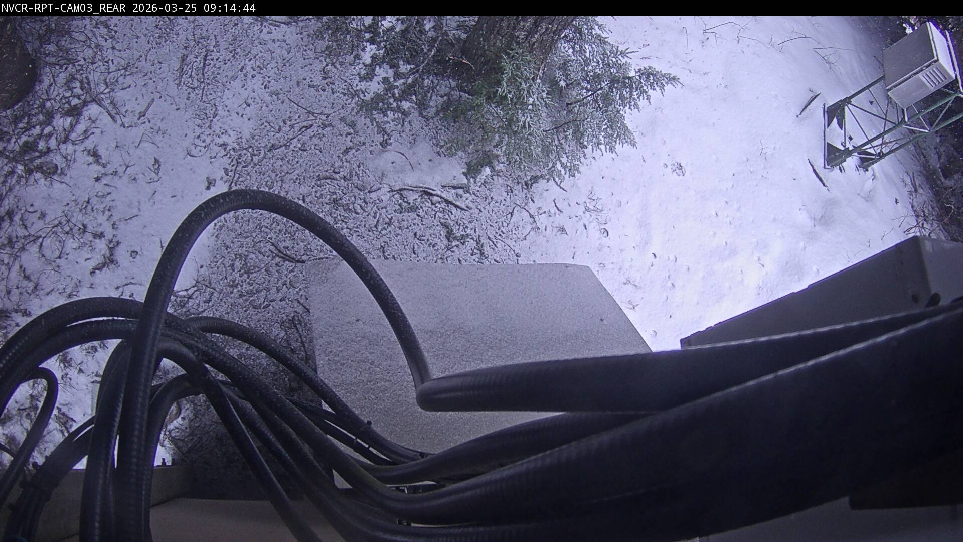 Web Cam History Image - 865