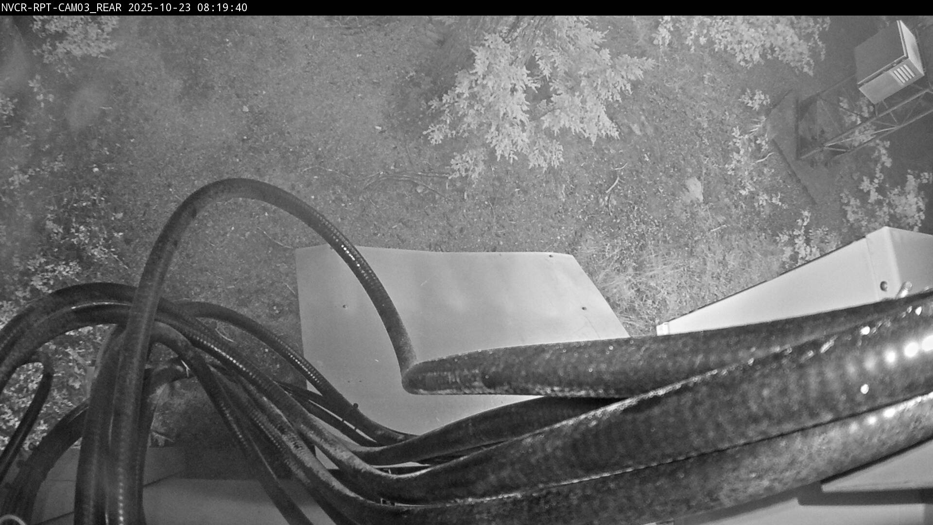 Web Cam History Image - 866