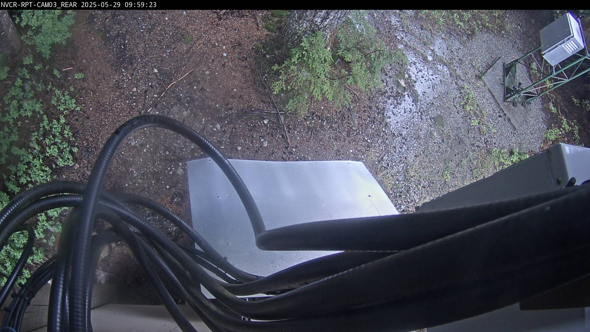 Web Cam History Image - 867