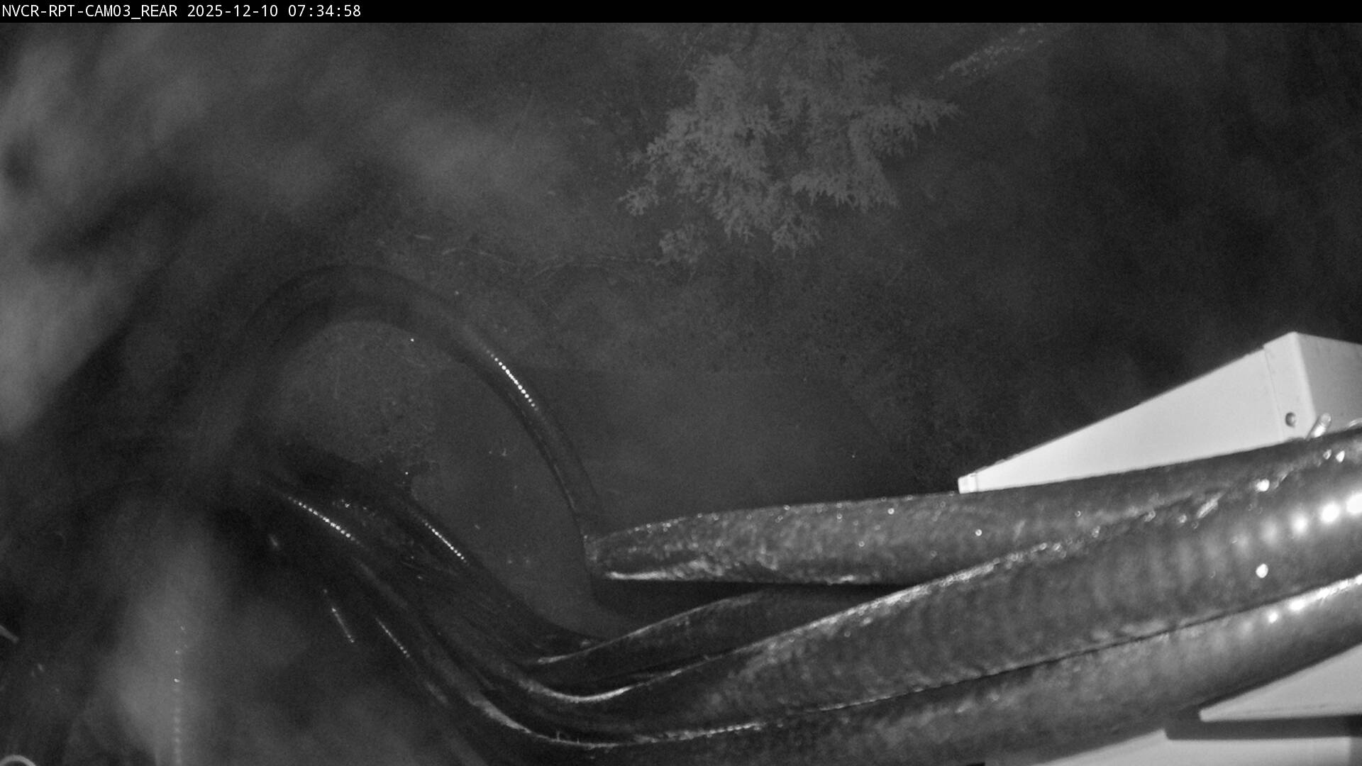 Web Cam History Image - 868