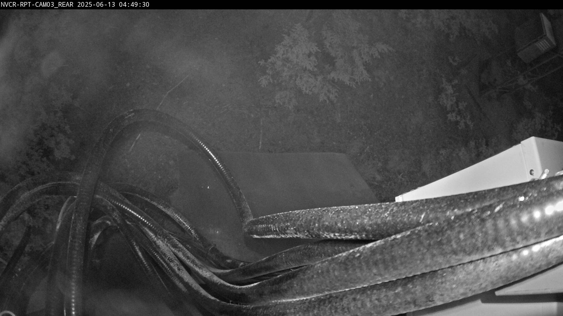 Web Cam History Image - 869