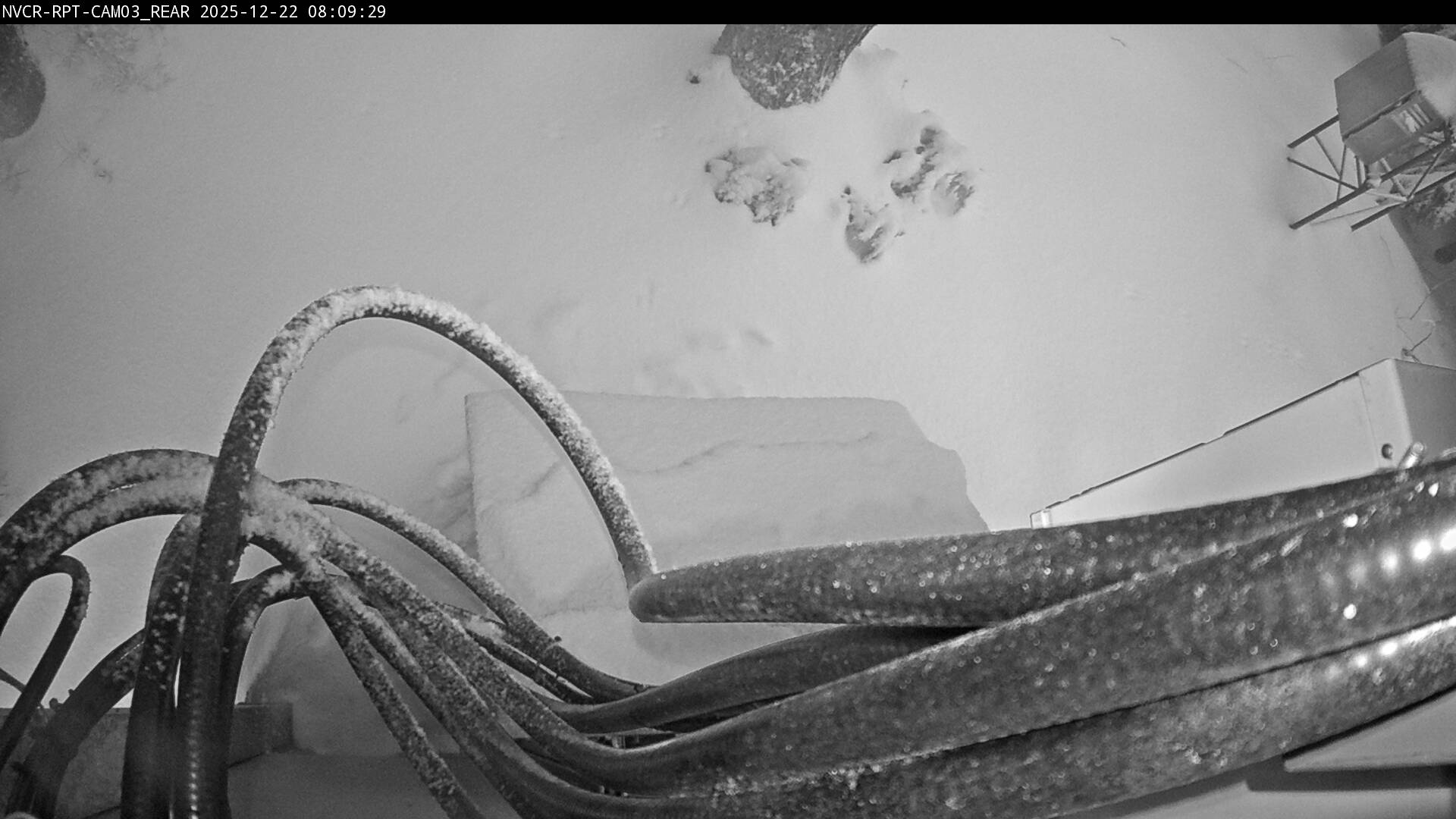 Web Cam History Image - 869