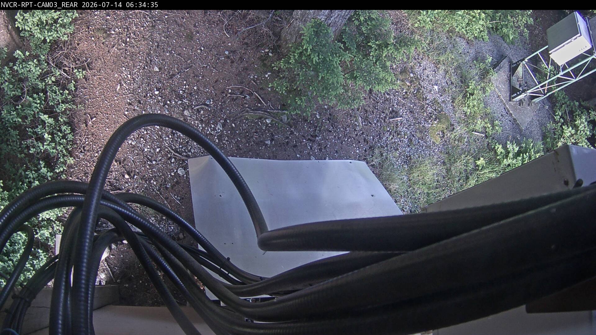 Web Cam History Image - 869
