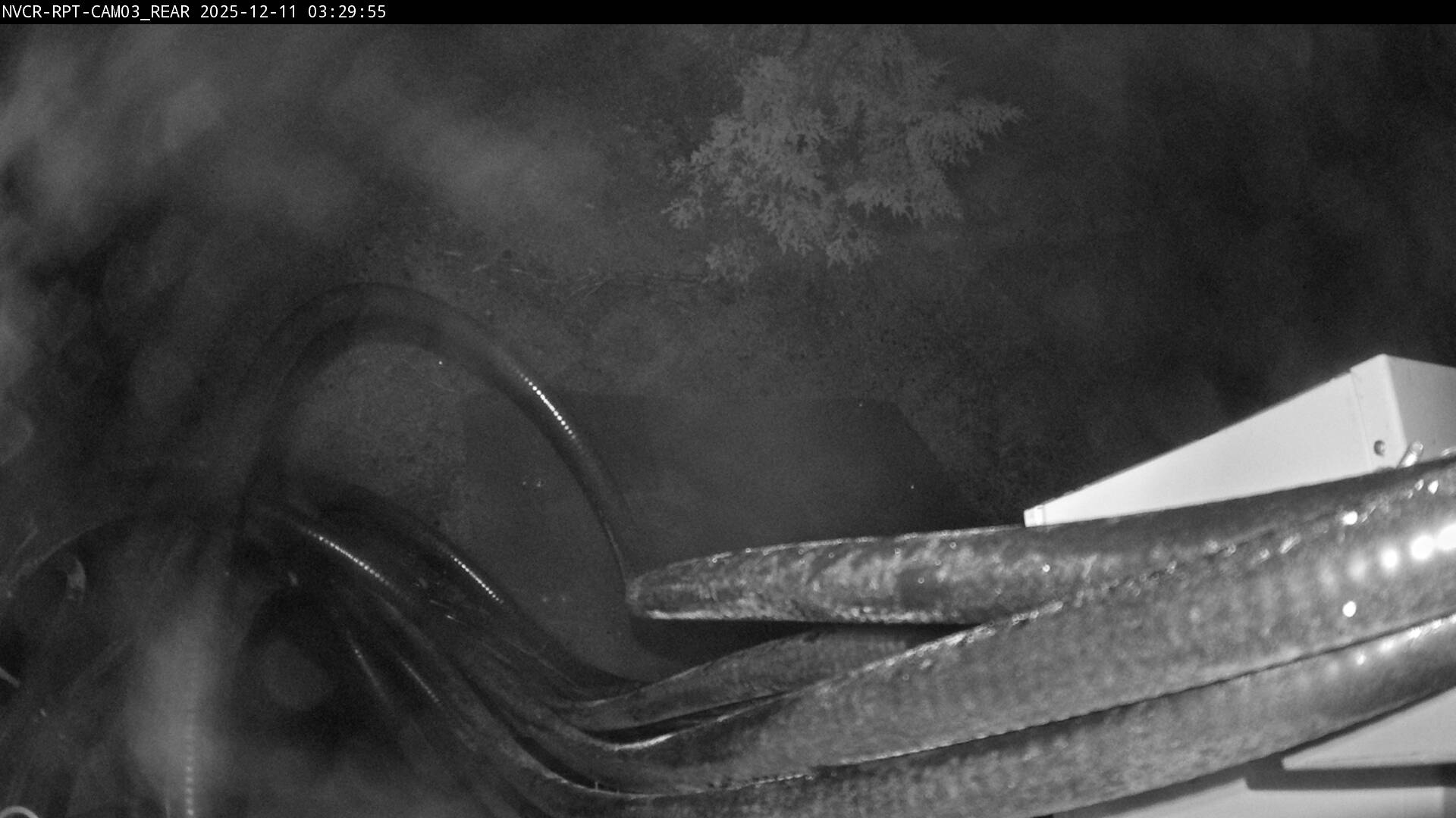 Web Cam History Image - 870