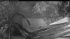 Web Cam Image - Fri, 07/03/2026 3:39am PDT