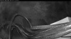 Web Cam Image - Fri, 07/31/2026 11:09pm PDT