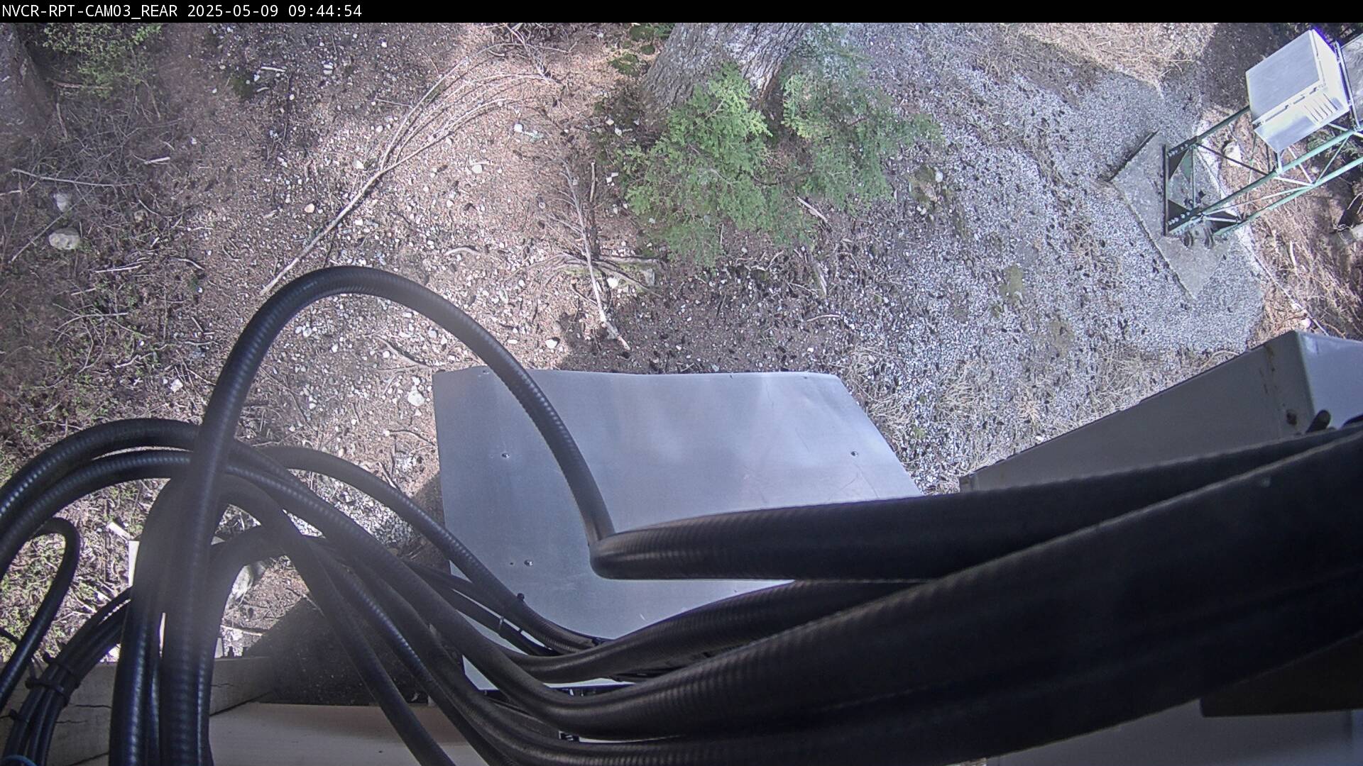 Web Cam History Image - 88