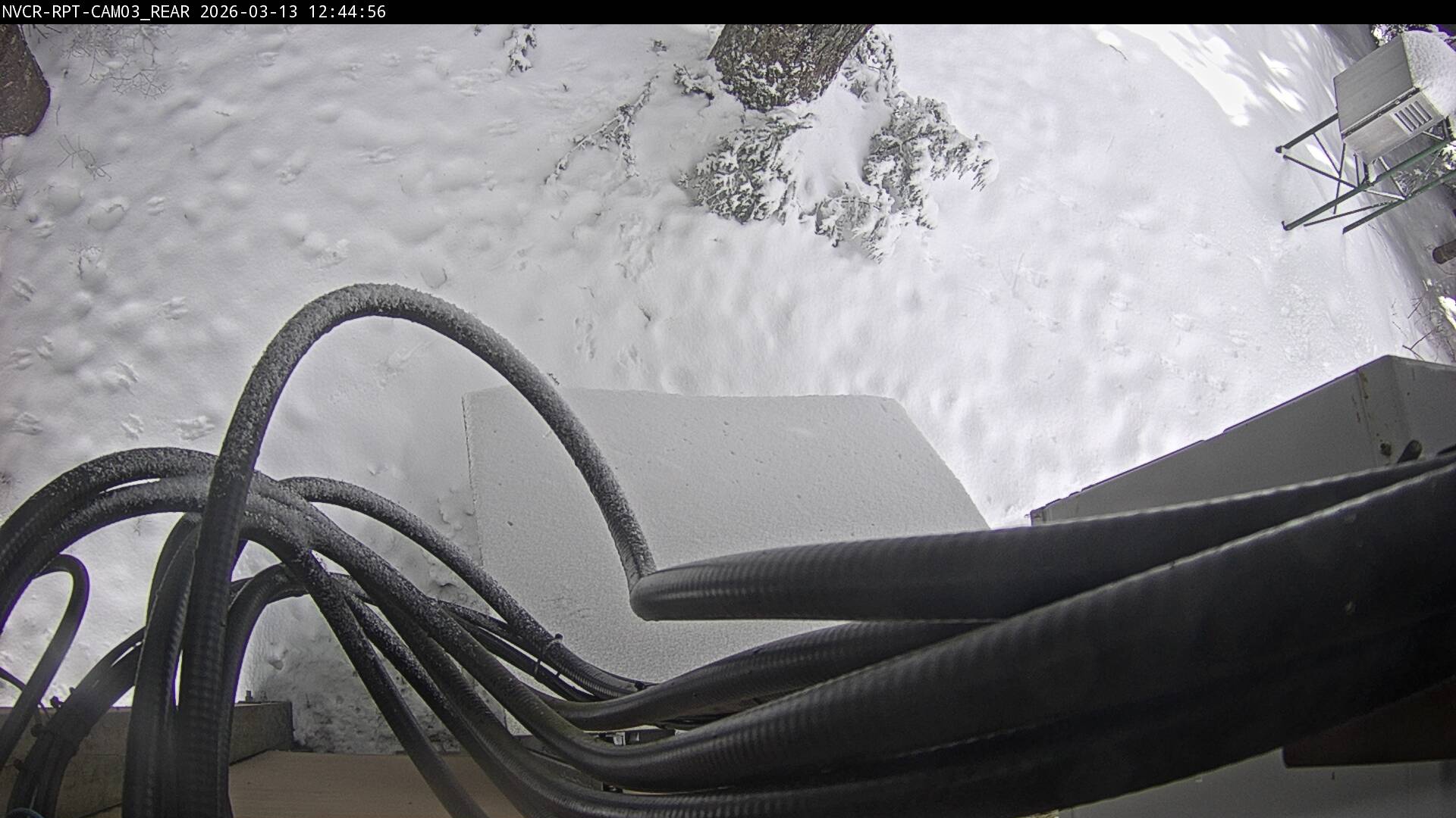 Web Cam History Image - 873